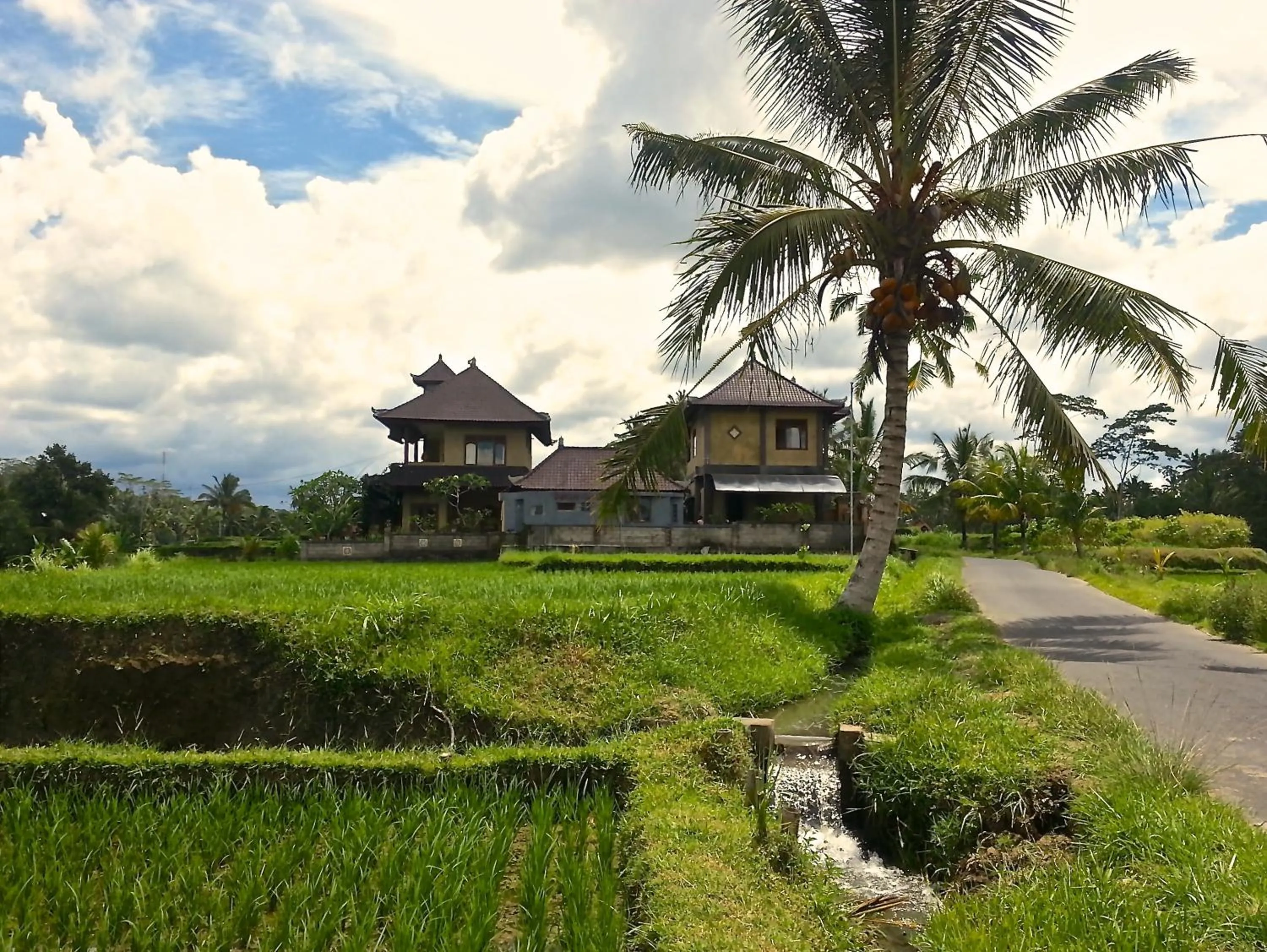 Property building in Dukuh Village Villas & Art