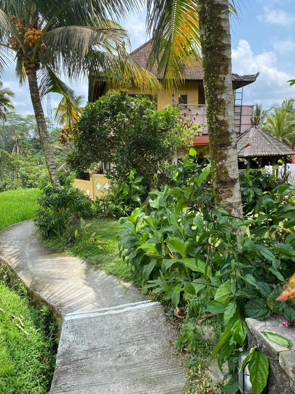 Garden in Dukuh Village Villas & Art