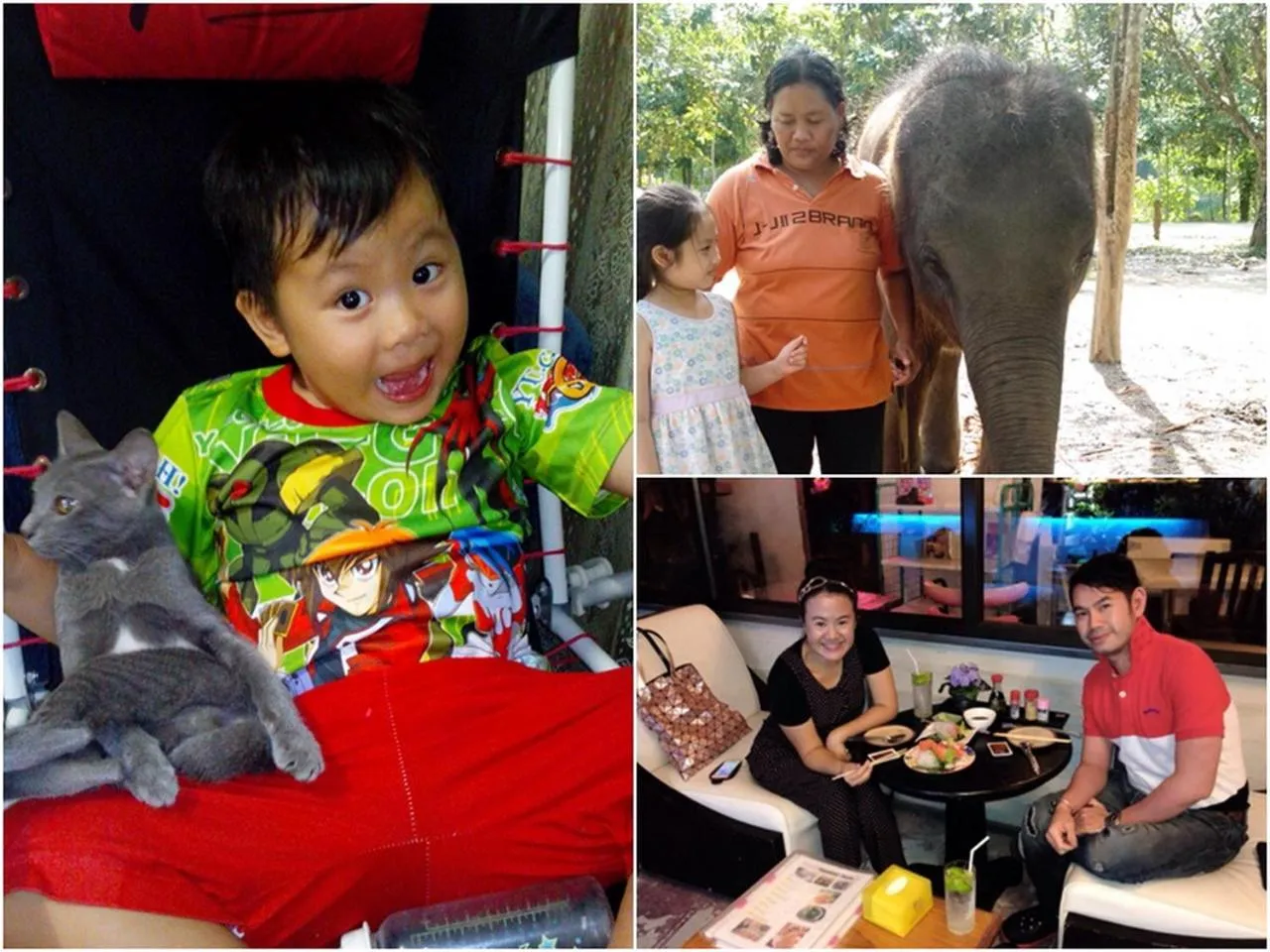 Animals in Tuk Tuk Guesthouse