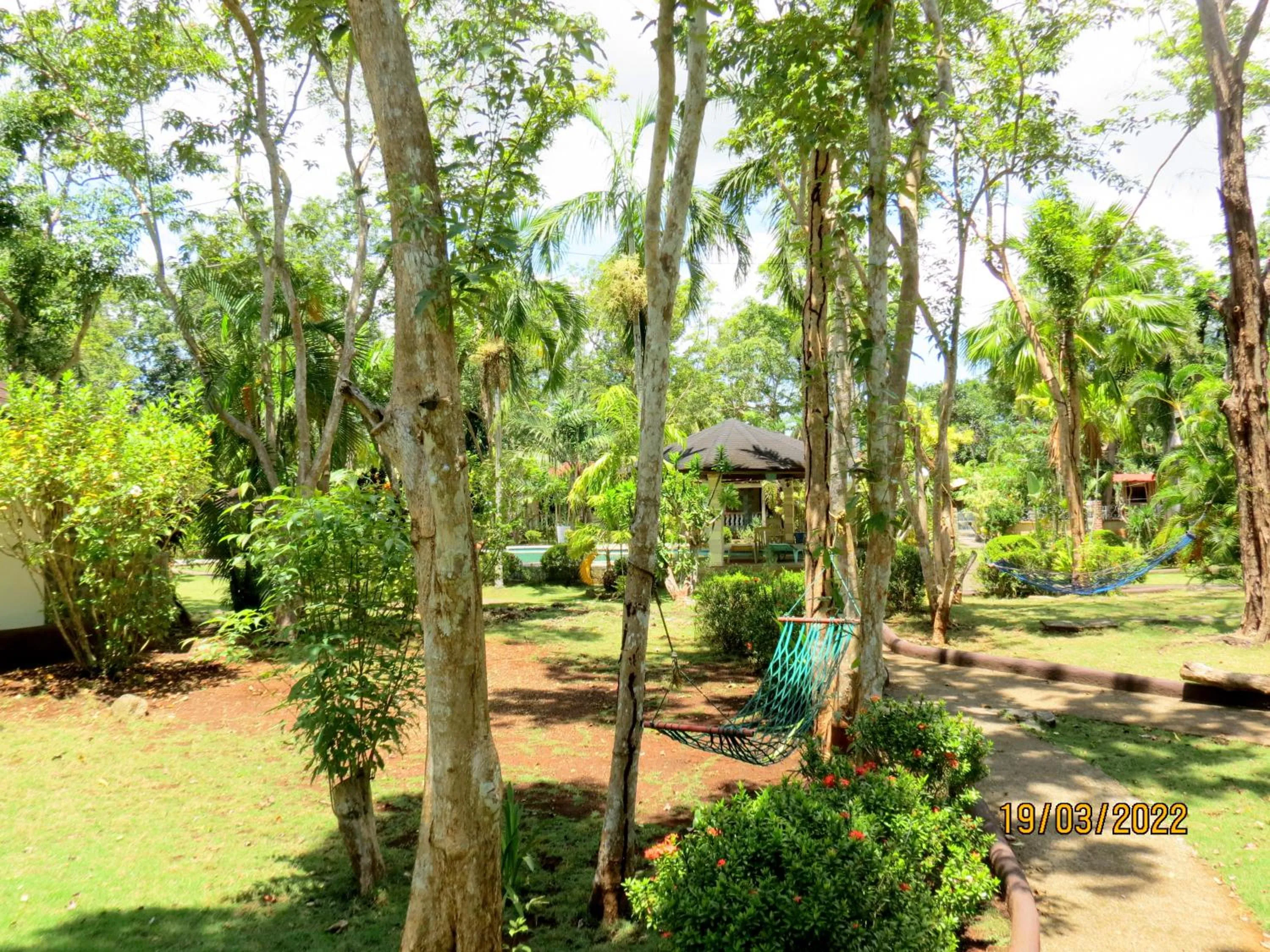 Natural landscape in ALONALAND RESORT