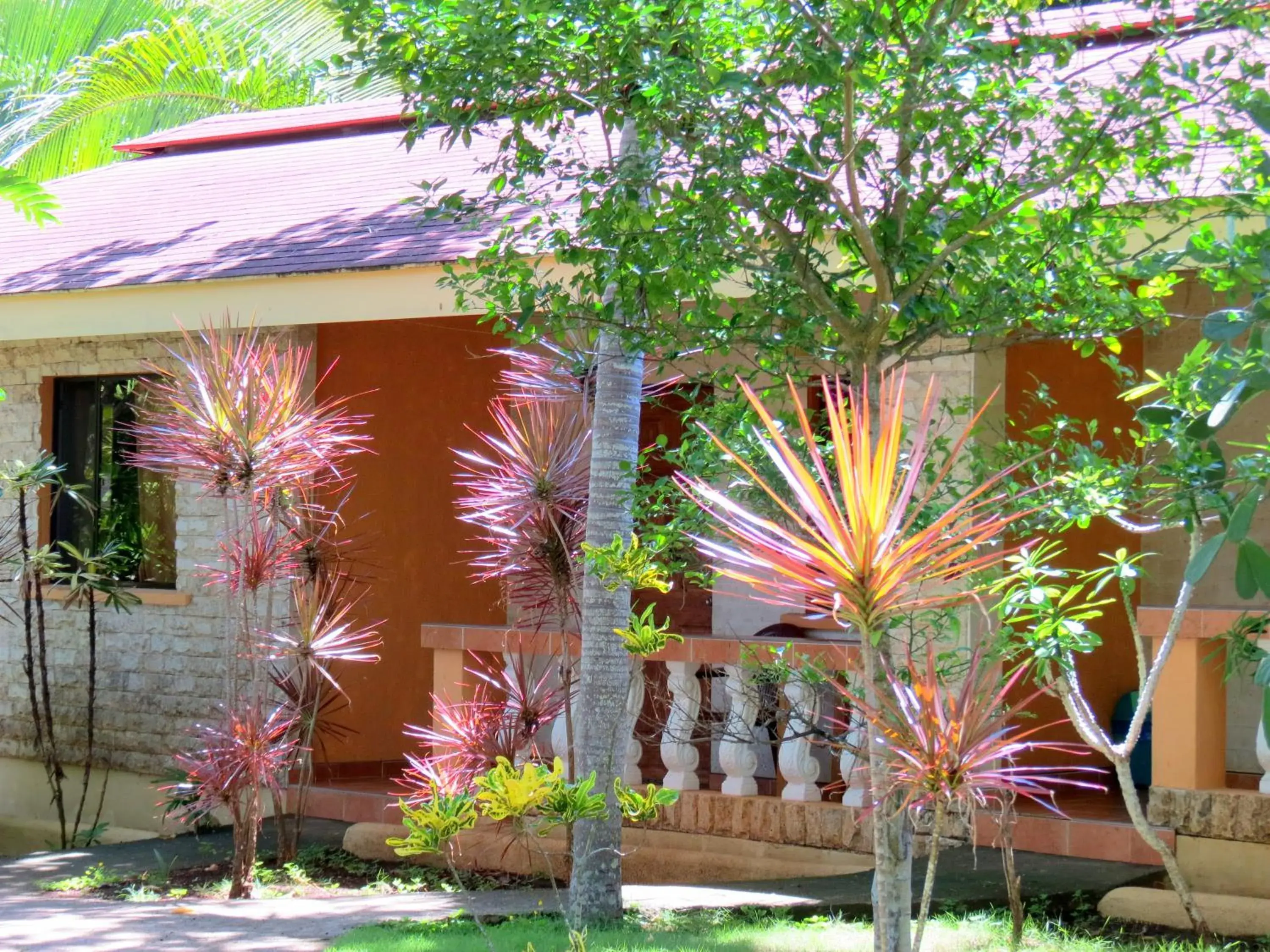 Budget Double Room in ALONALAND RESORT Budget Double Room in ALONALAND RESORT