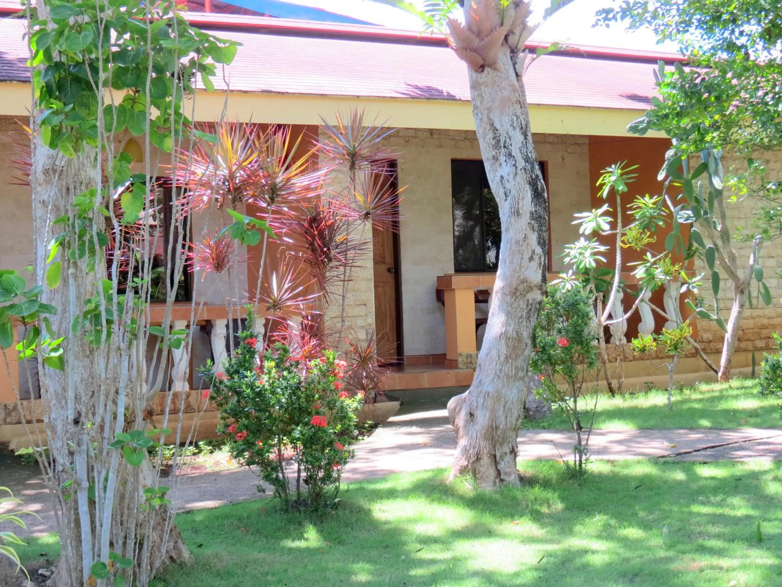 Budget Double Room in ALONALAND RESORT Budget Double Room in ALONALAND RESORT