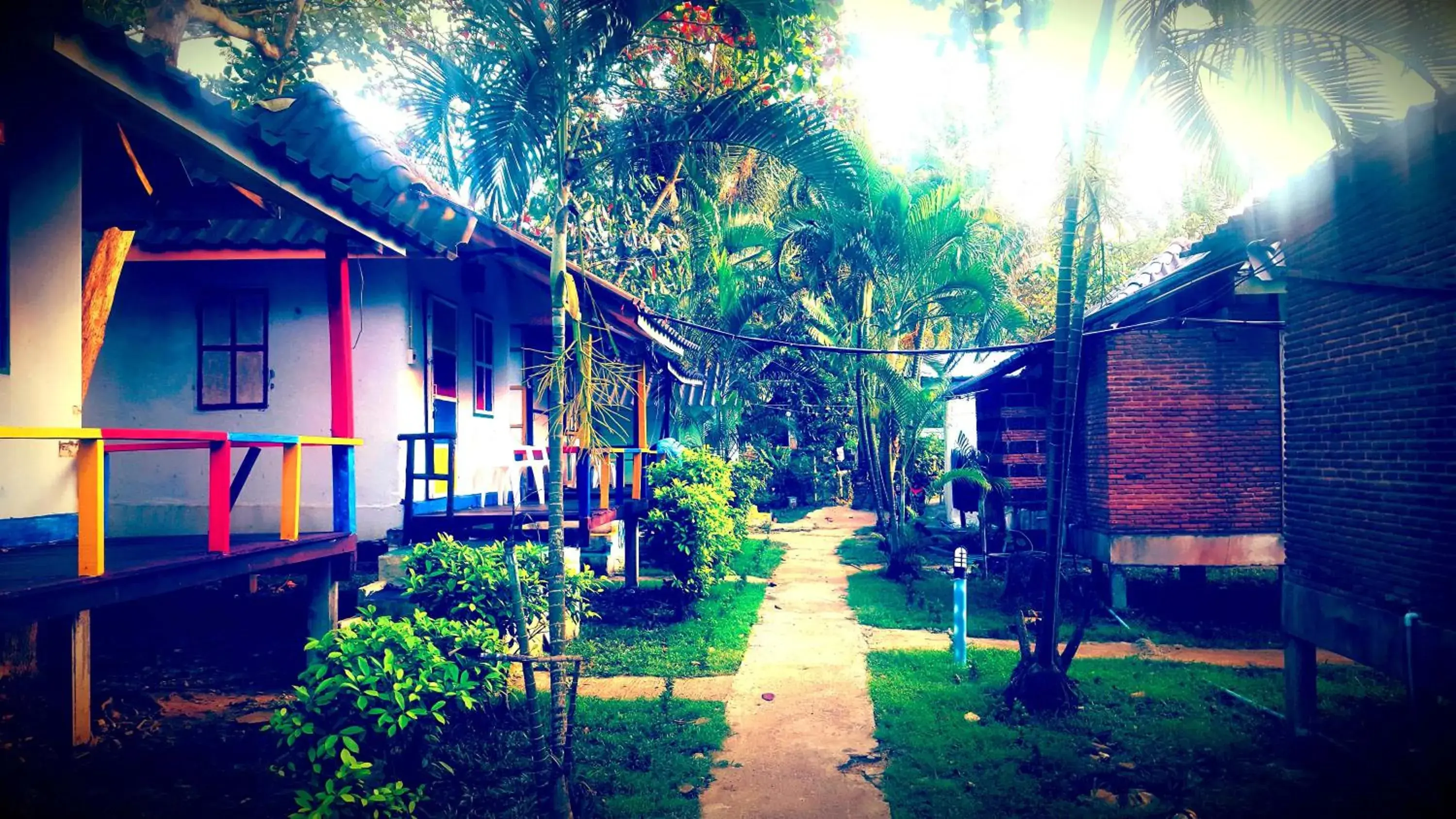 Garden in Kohchang 7 seaview bungalow Garden in Kohchang 7 seaview bungalow