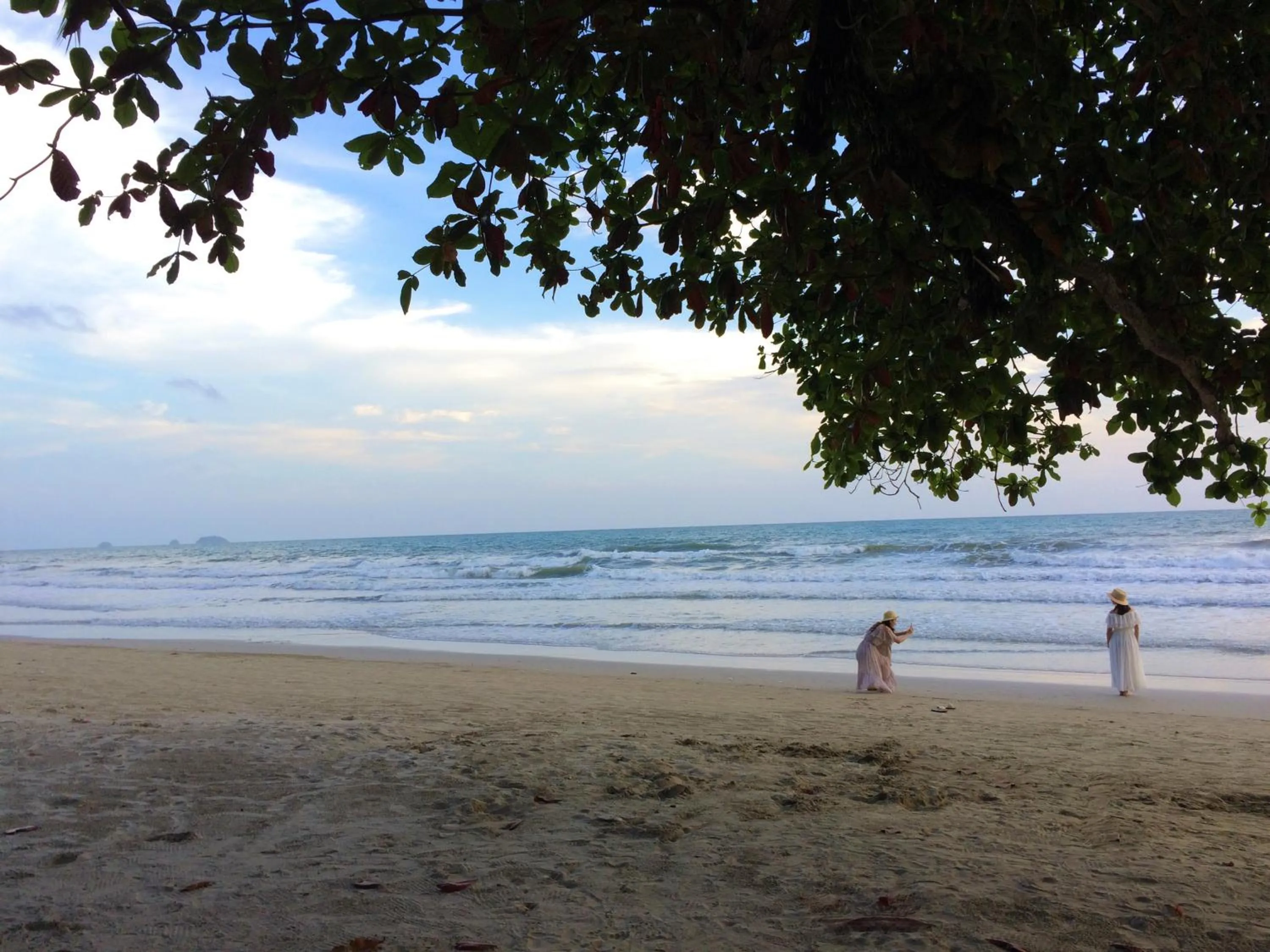 Beach in Cookies Hotel