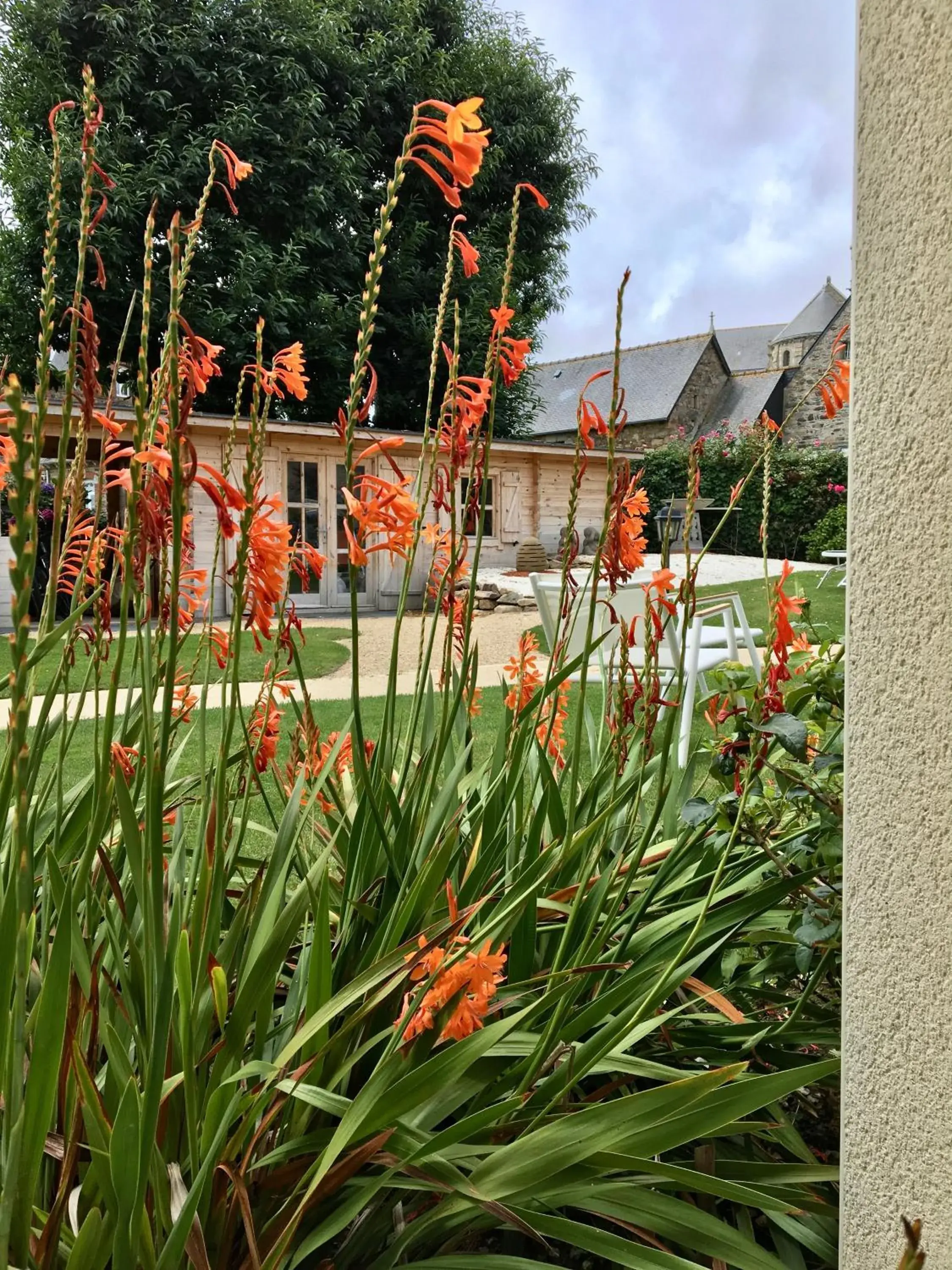 Garden view in Hôtel Les Agapanthes-Logis Hôtel Garden view in Hôtel Les Agapanthes-Logis Hôtel