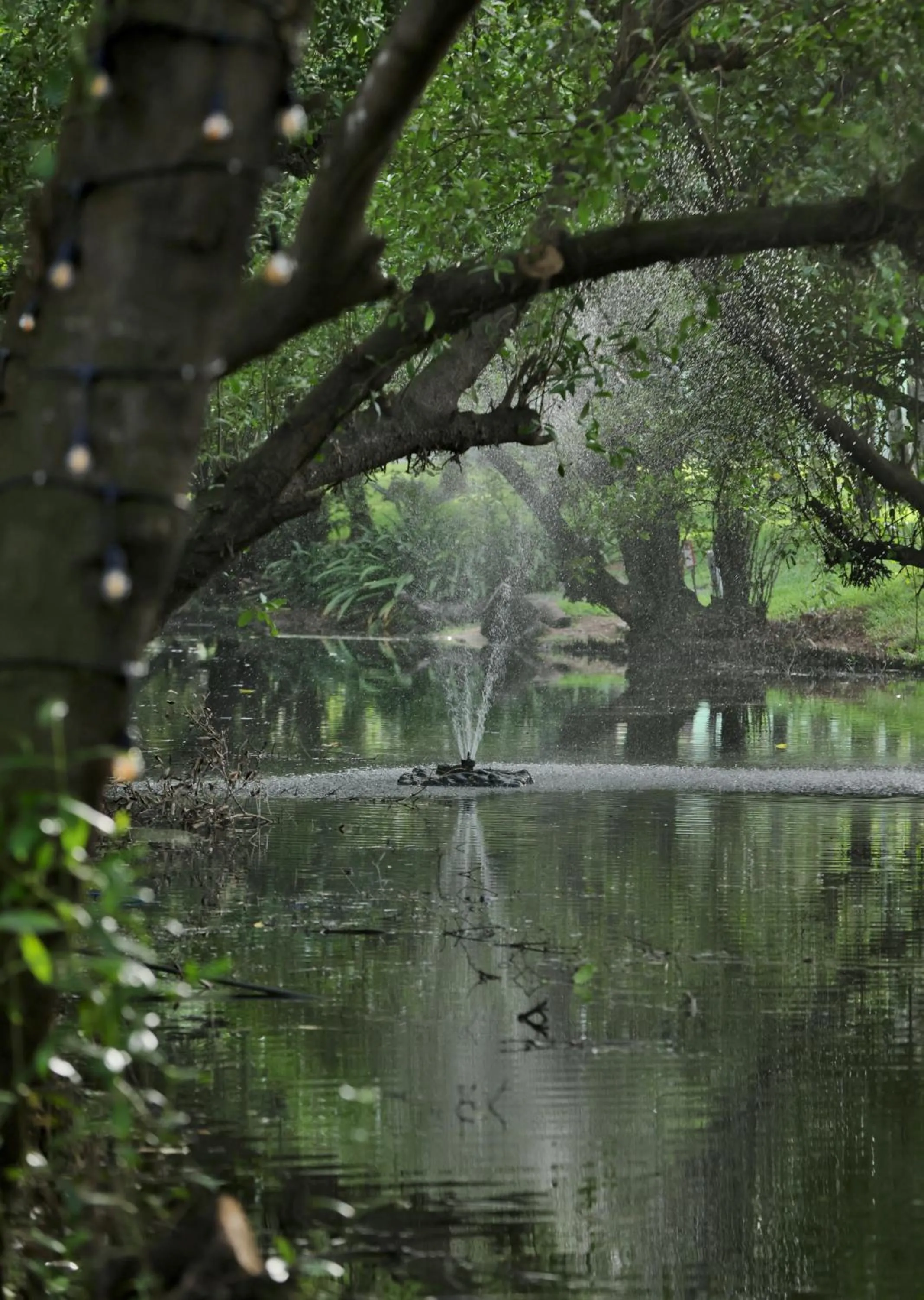 Spring in Labadi Beach Hotel