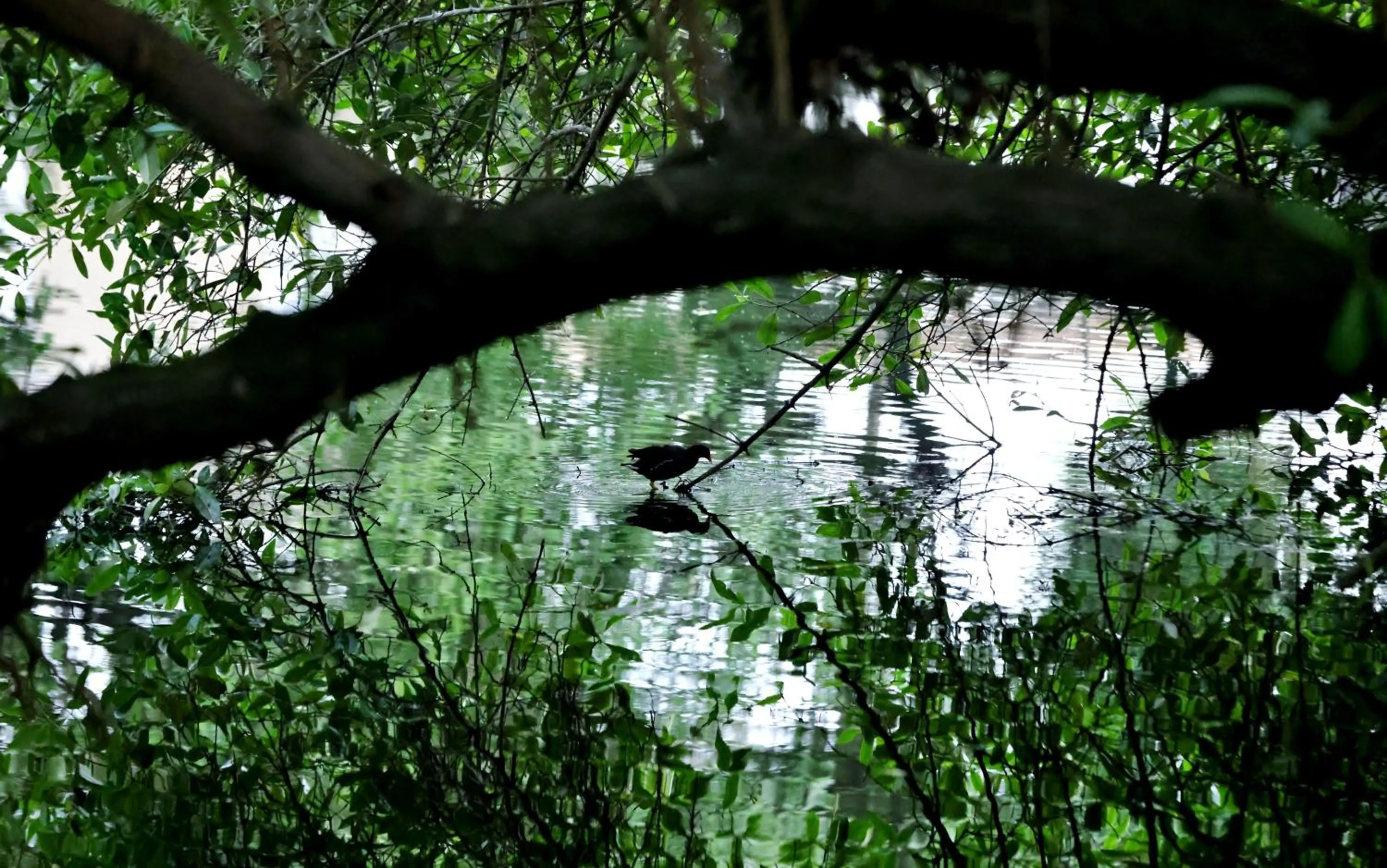 Day in Labadi Beach Hotel