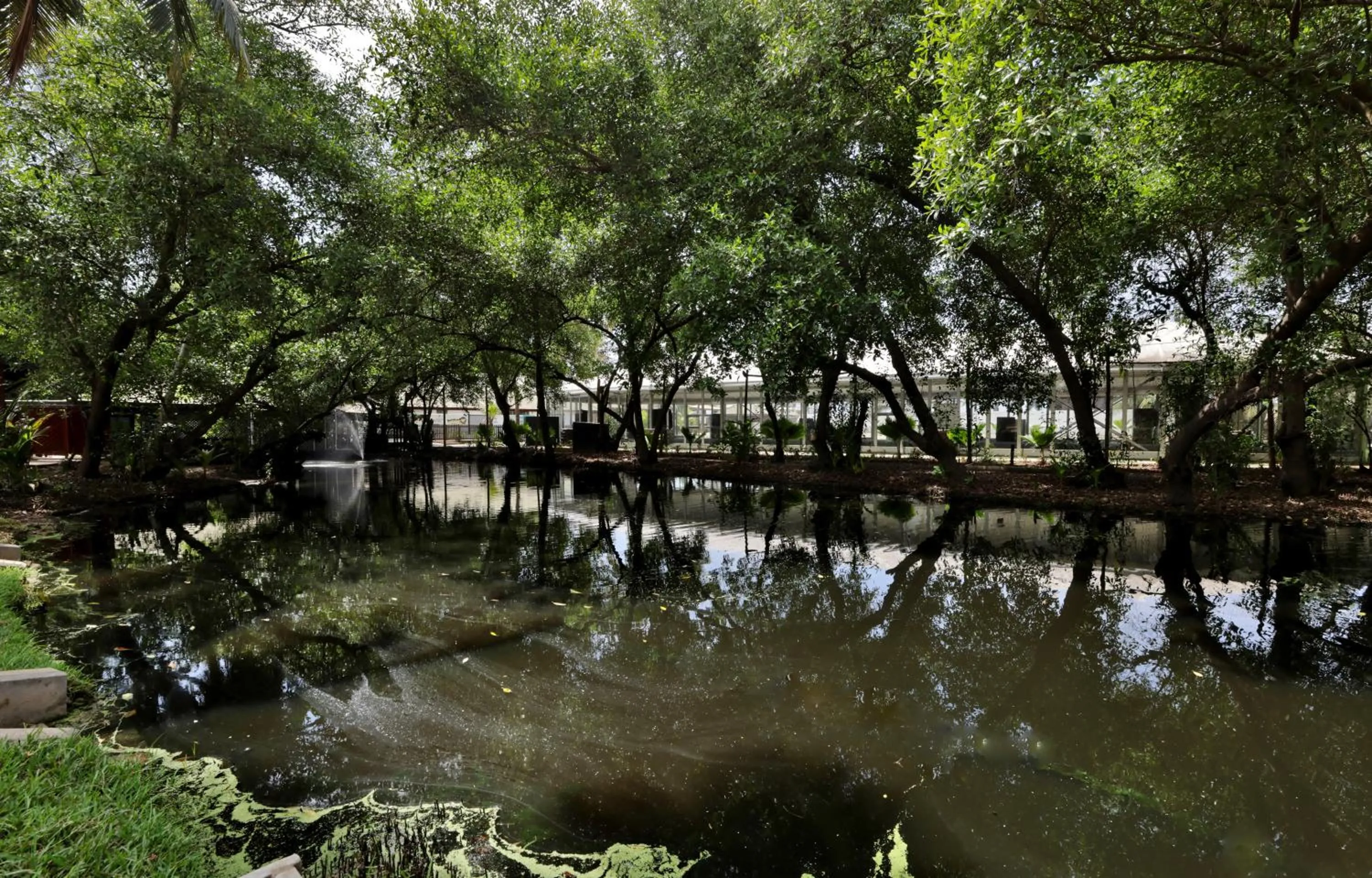 Spring in Labadi Beach Hotel