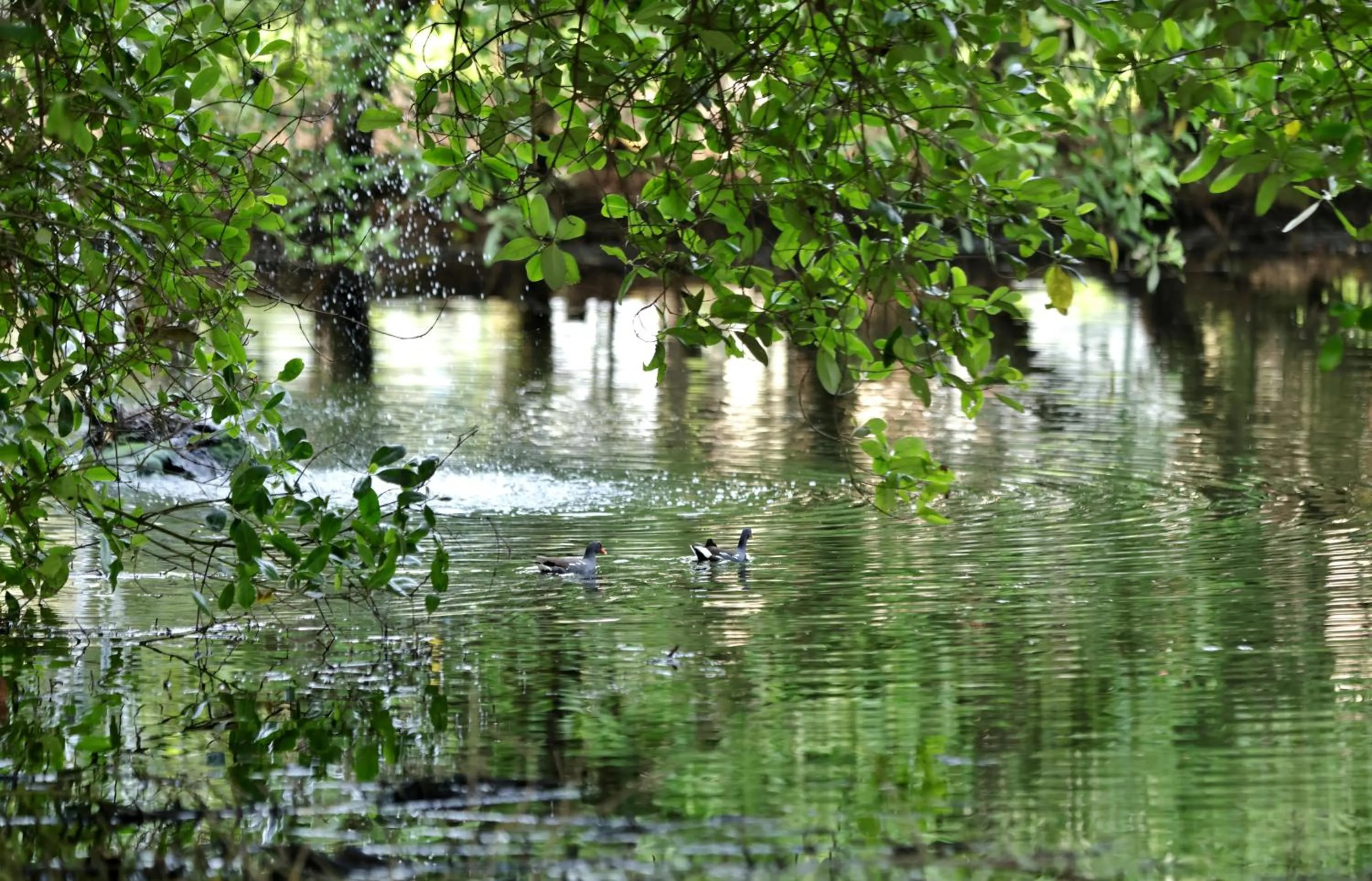 Day in Labadi Beach Hotel