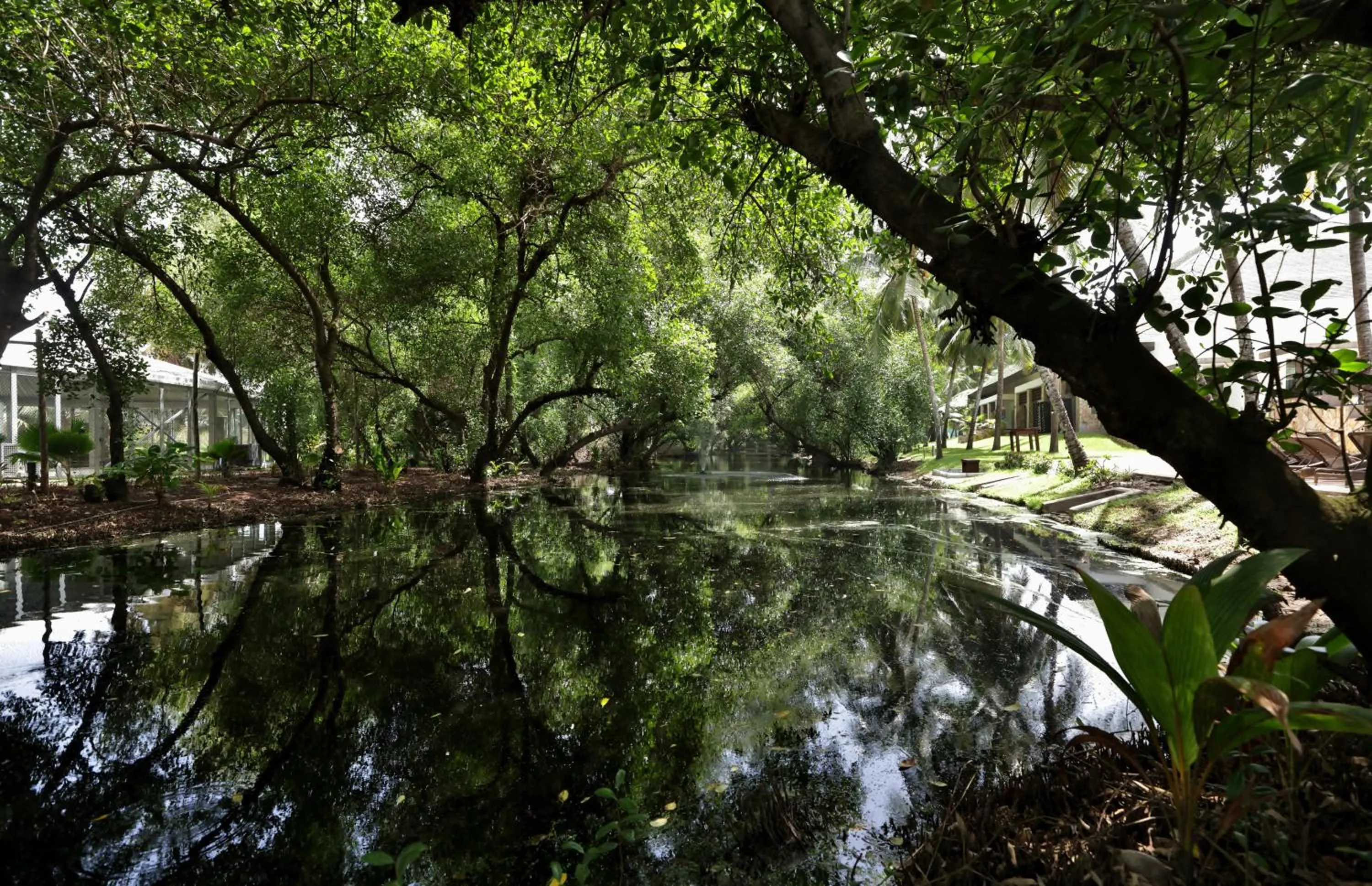 Natural landscape in Labadi Beach Hotel