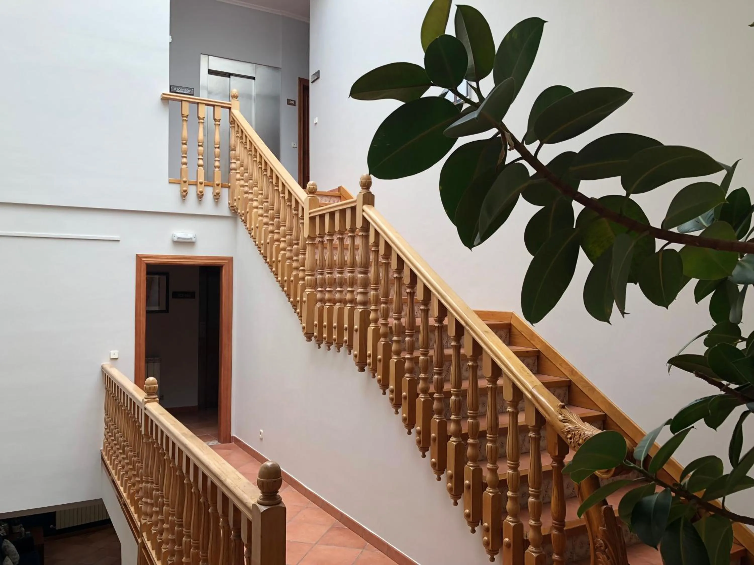 Area and facilities in Hotel - Apartamentos Peña Santa