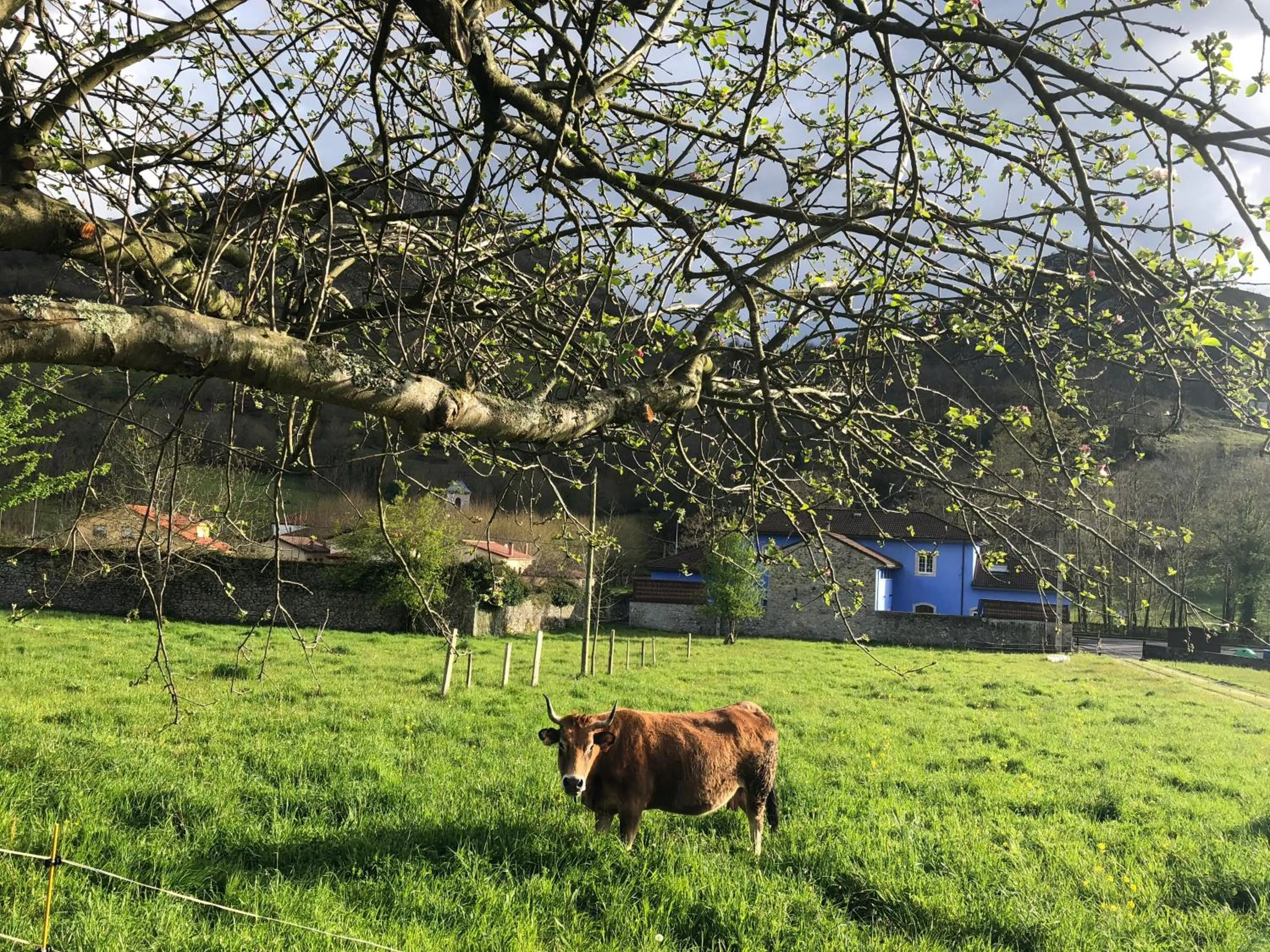 Other in Hotel - Apartamentos Peña Santa