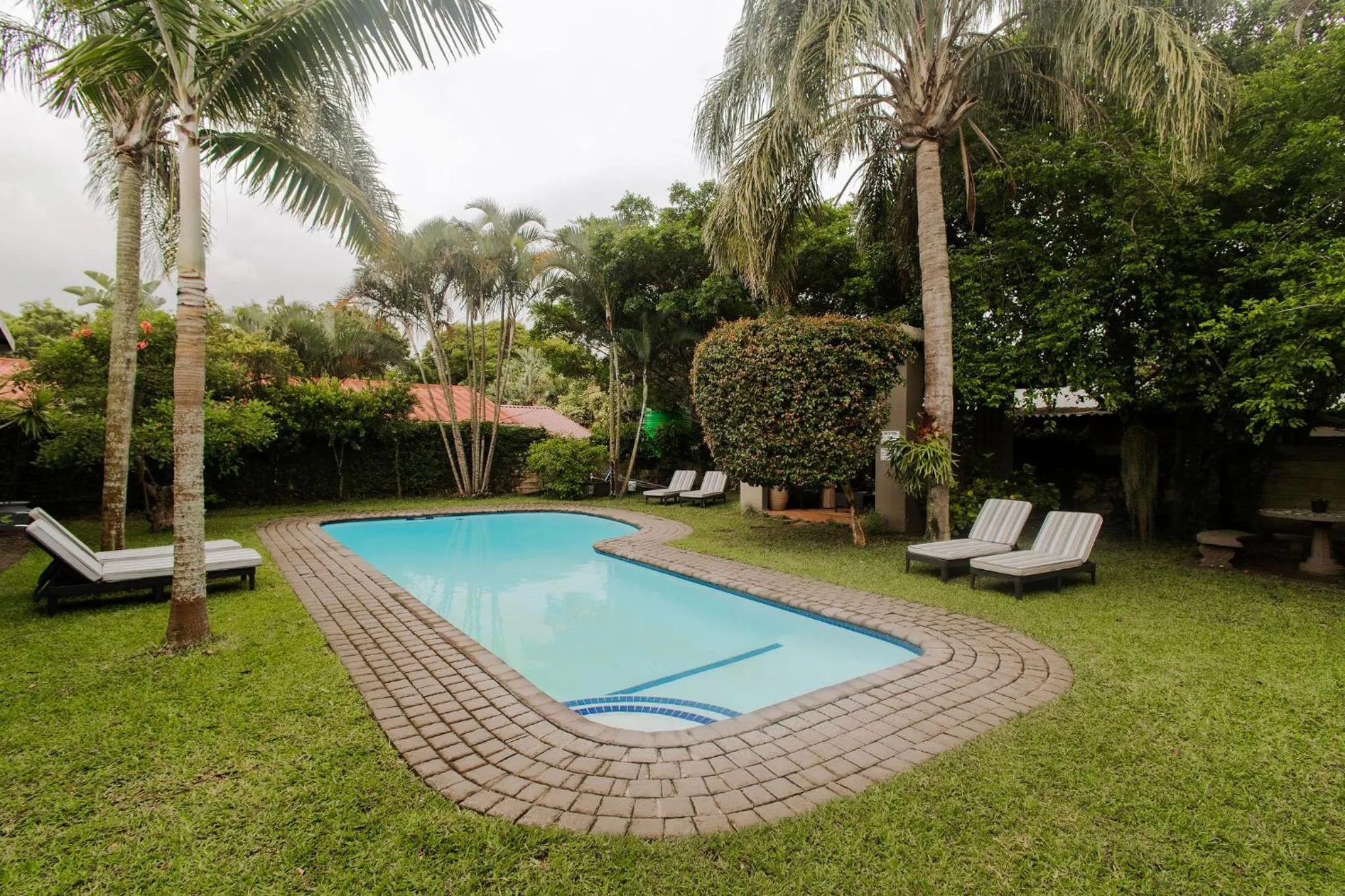 Swimming pool in iGwalagwala Guest House