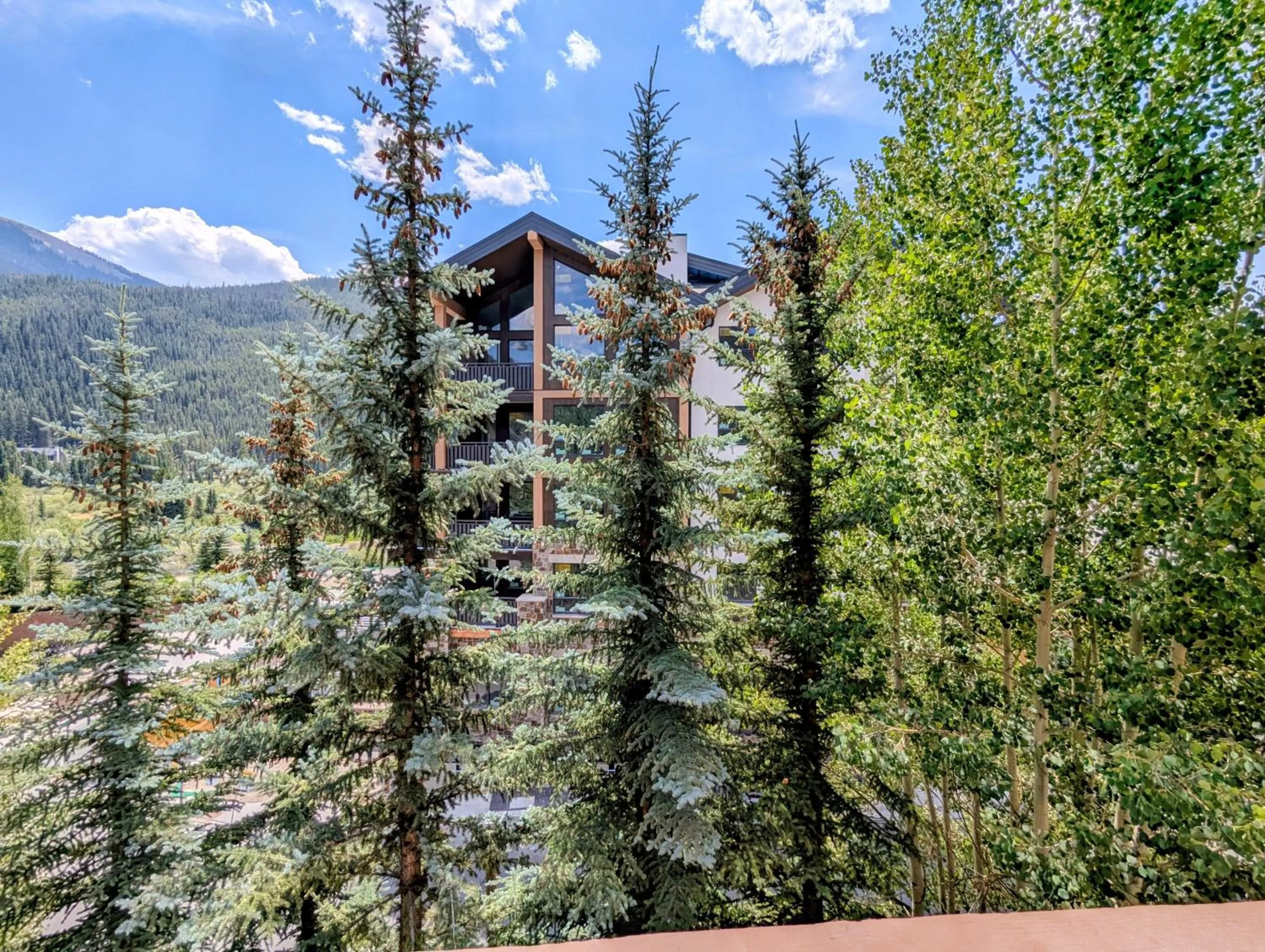 Springs 8822 by SummitCove Lodging