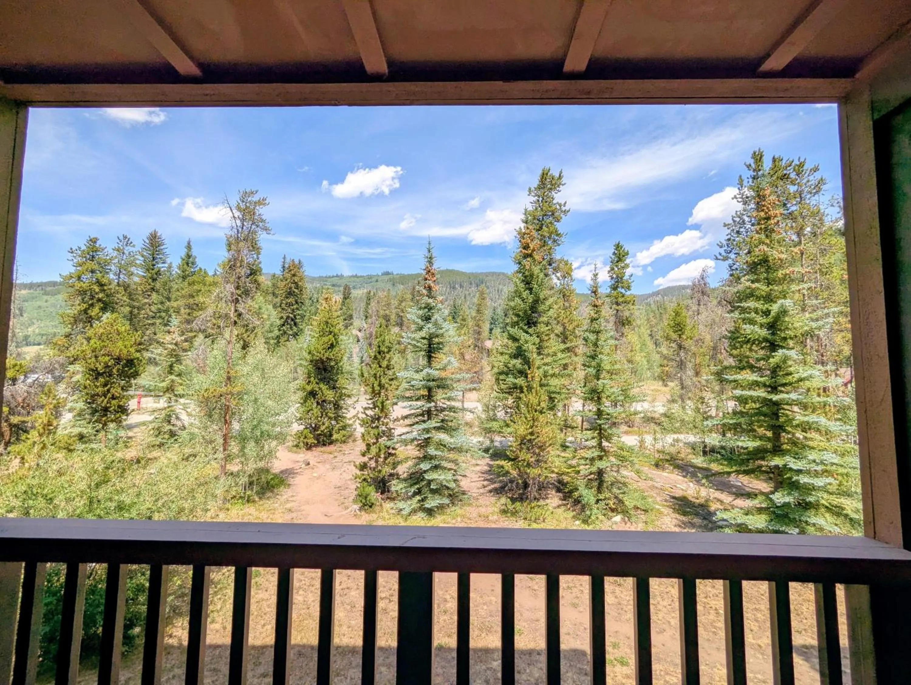 Springs 8822 by SummitCove Lodging