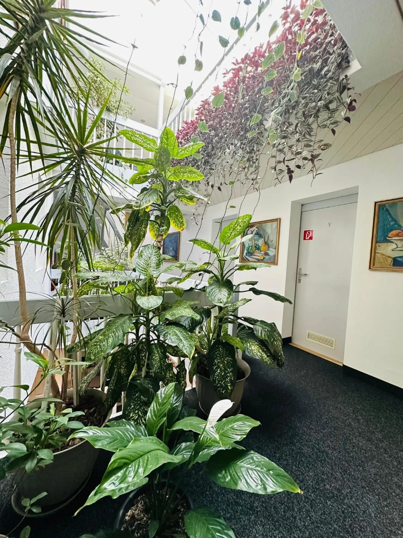 Natural landscape in Villa Helvetia