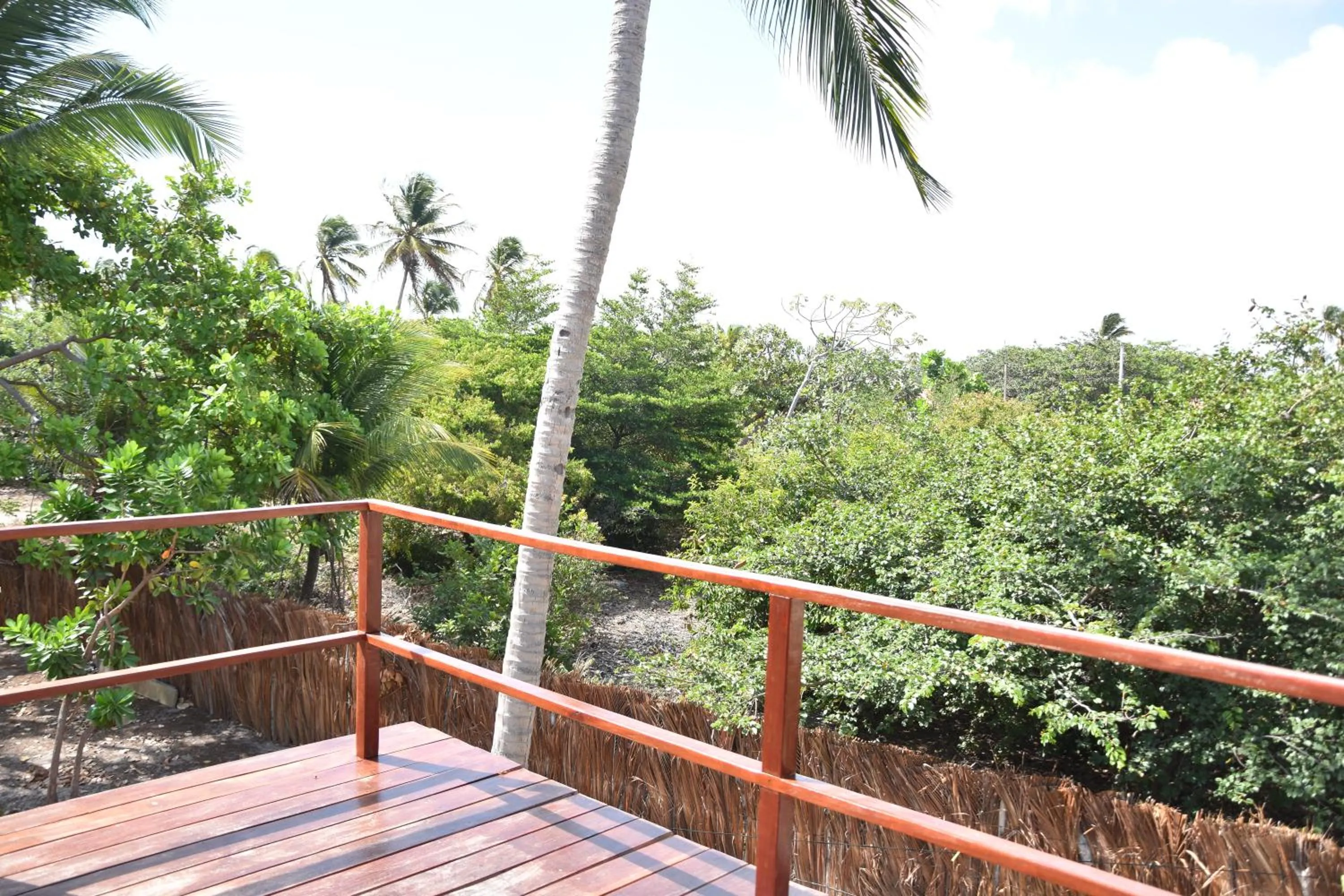 Balcony/Terrace in Le Marin Hotel Boutique