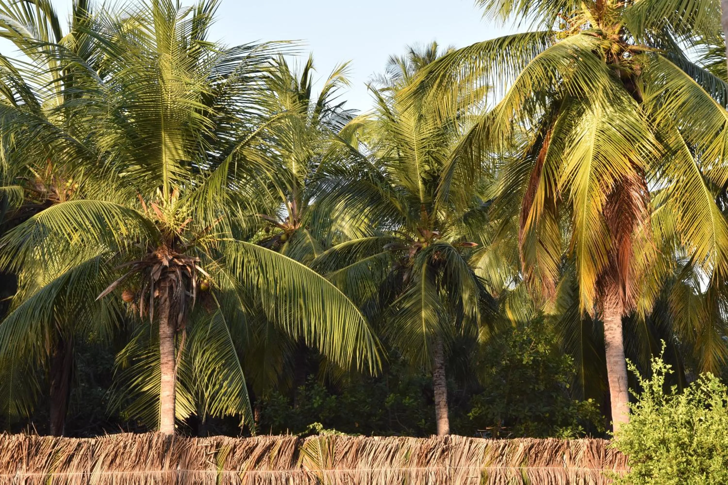 Natural landscape in Le Marin Hotel Boutique