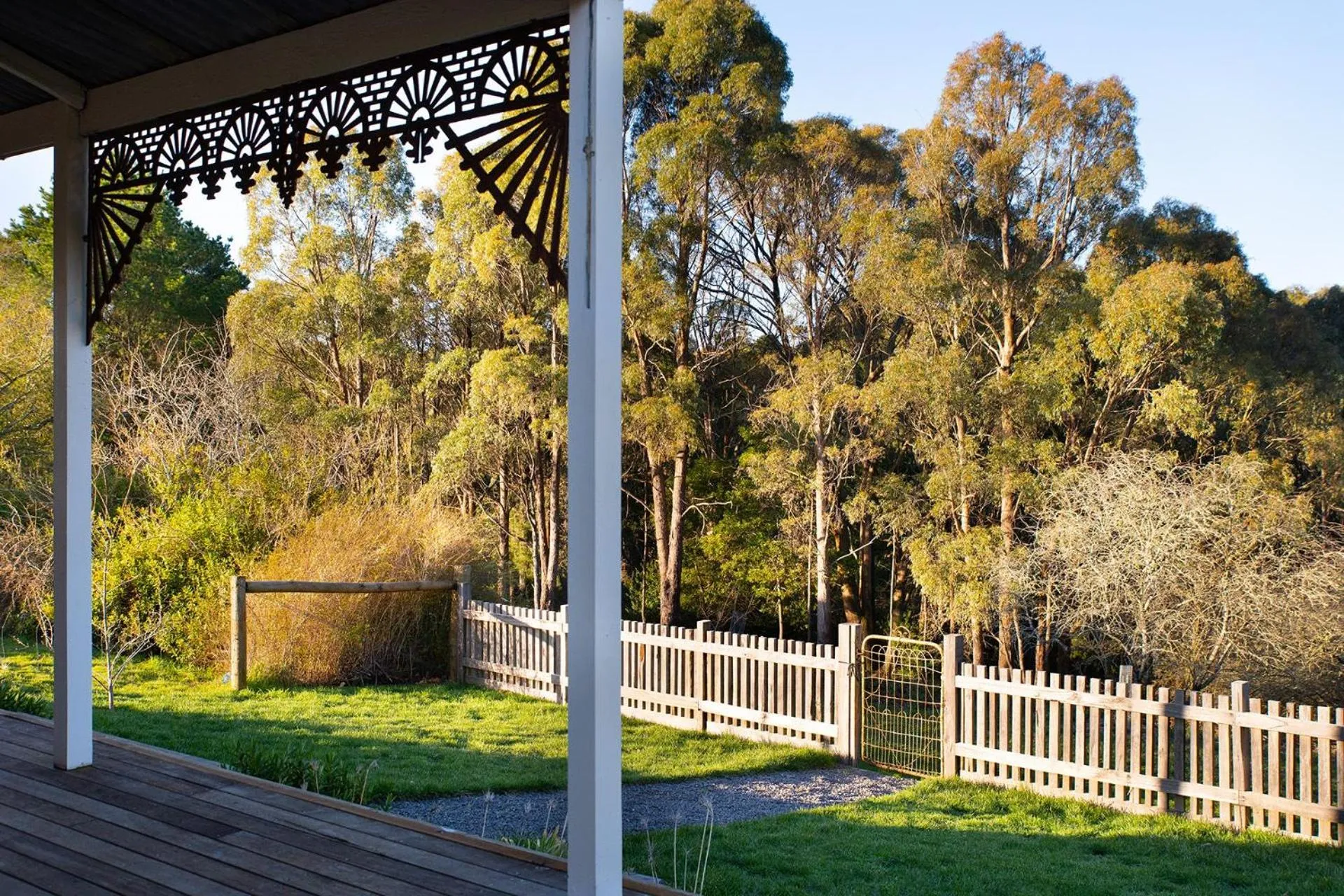 Natural landscape in Table Hill Cottage - dog friendly retreat