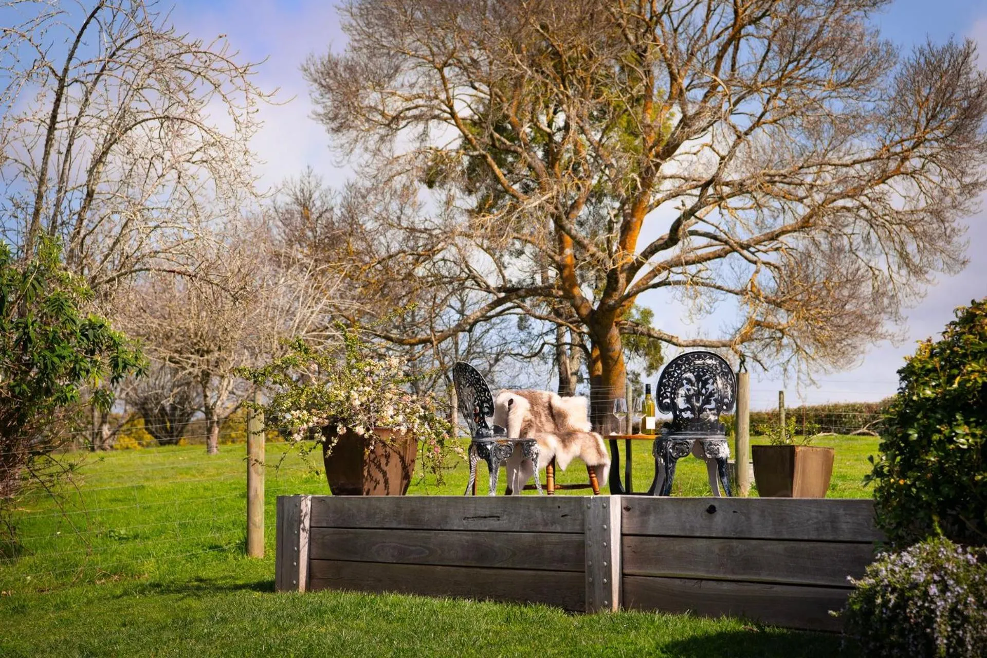 Table Hill Cottage - dog friendly retreat