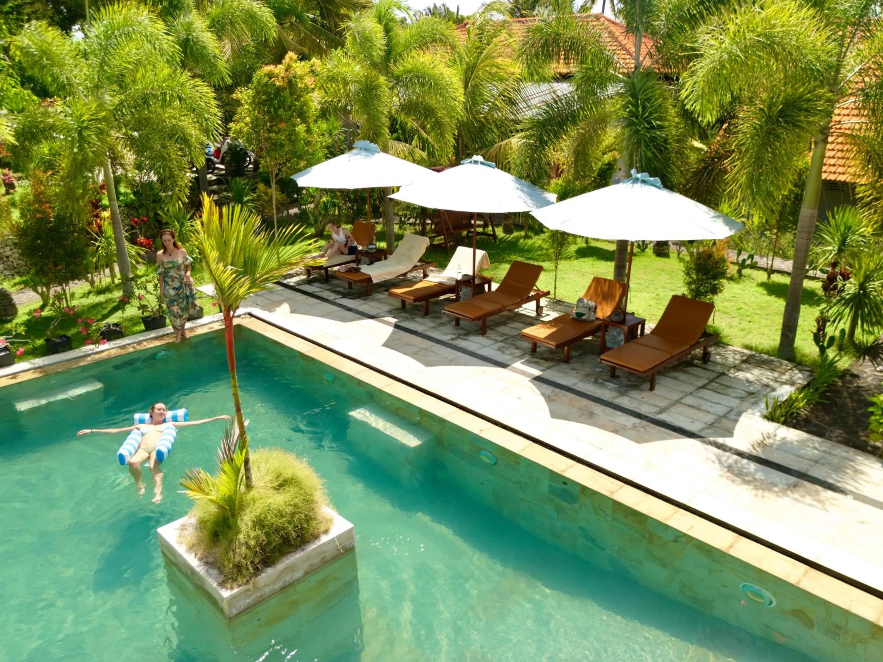 Swimming pool in Jungle Paradise