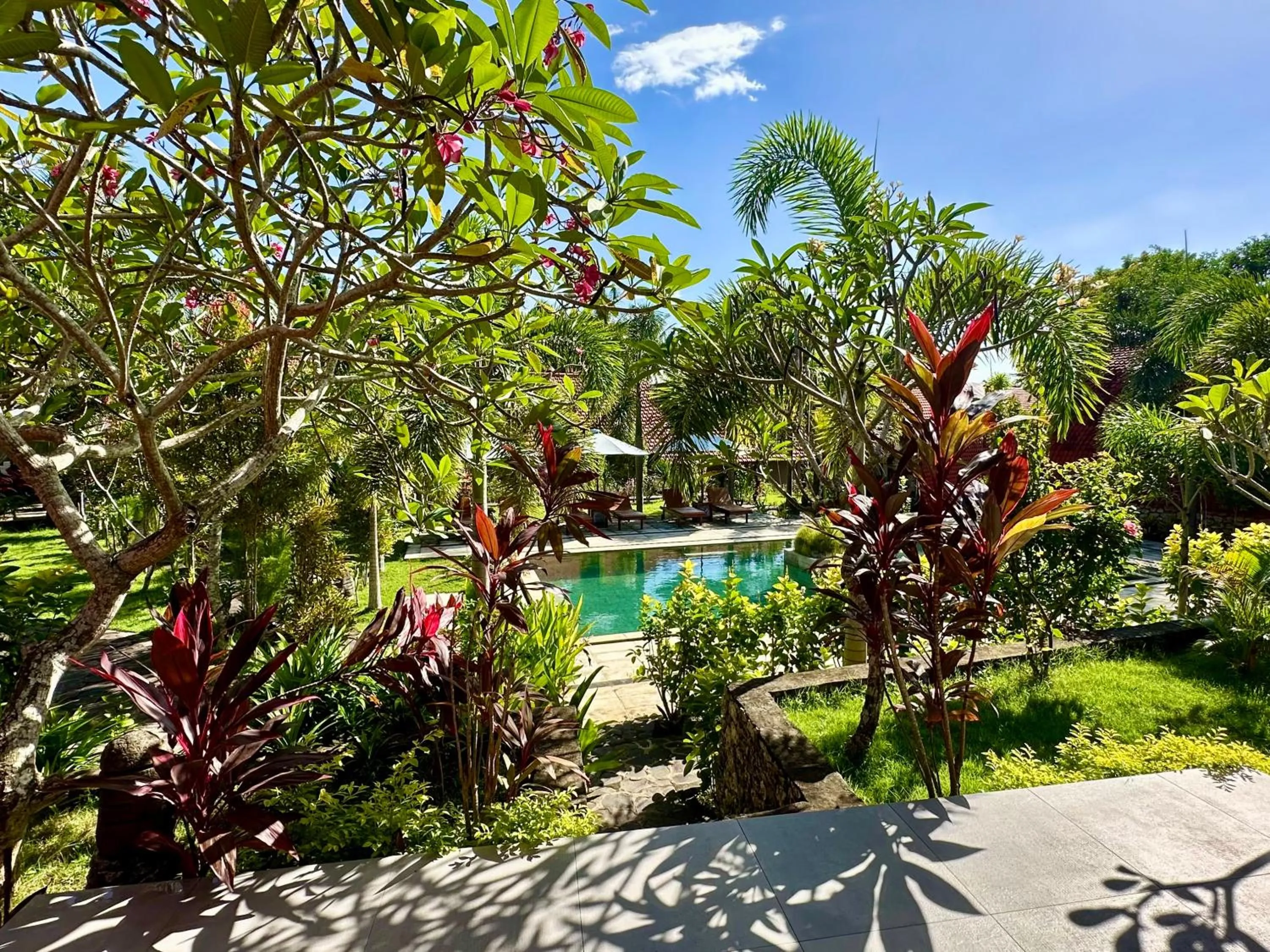 View (from property/room) in Jungle Paradise