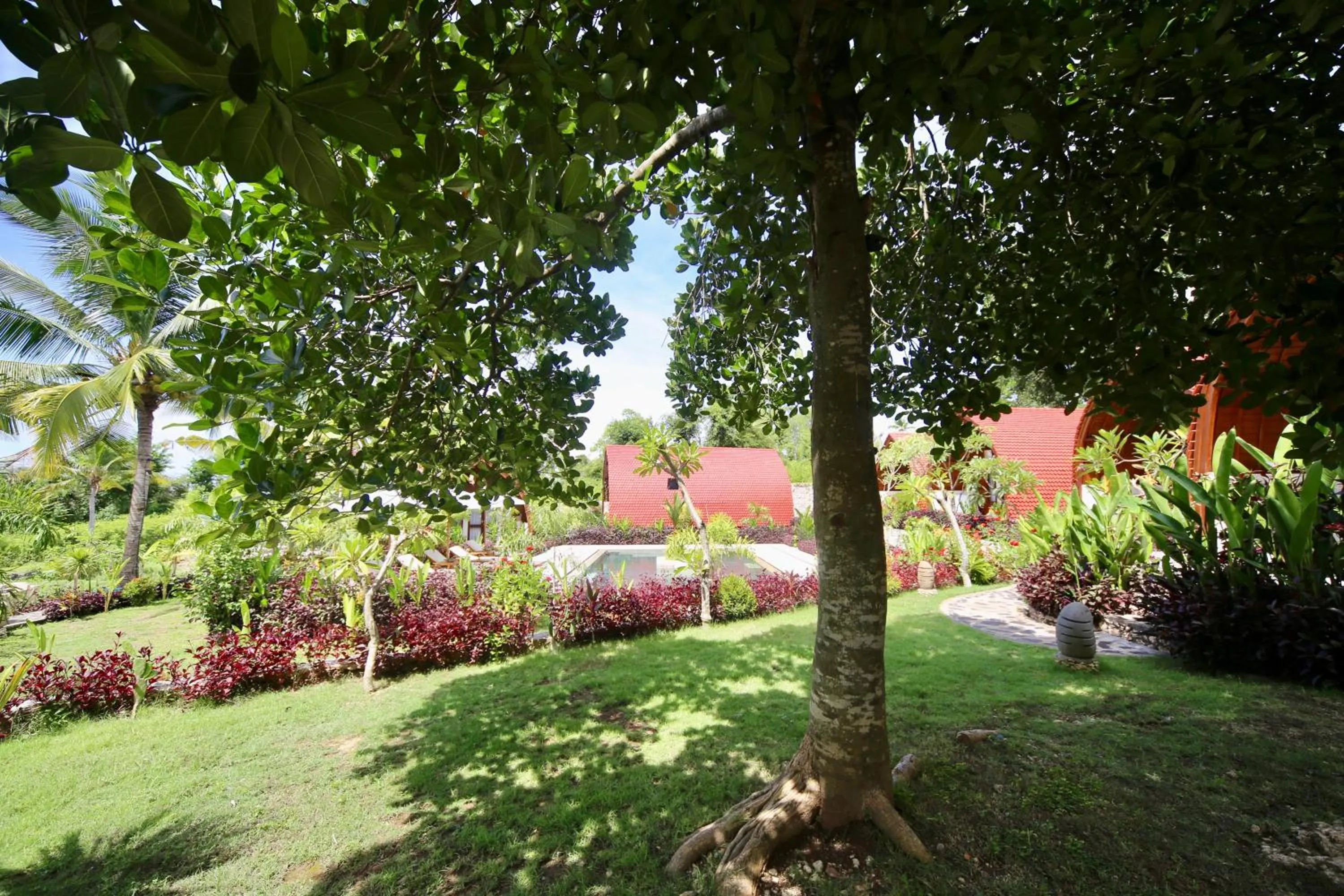 Garden in Jungle Paradise