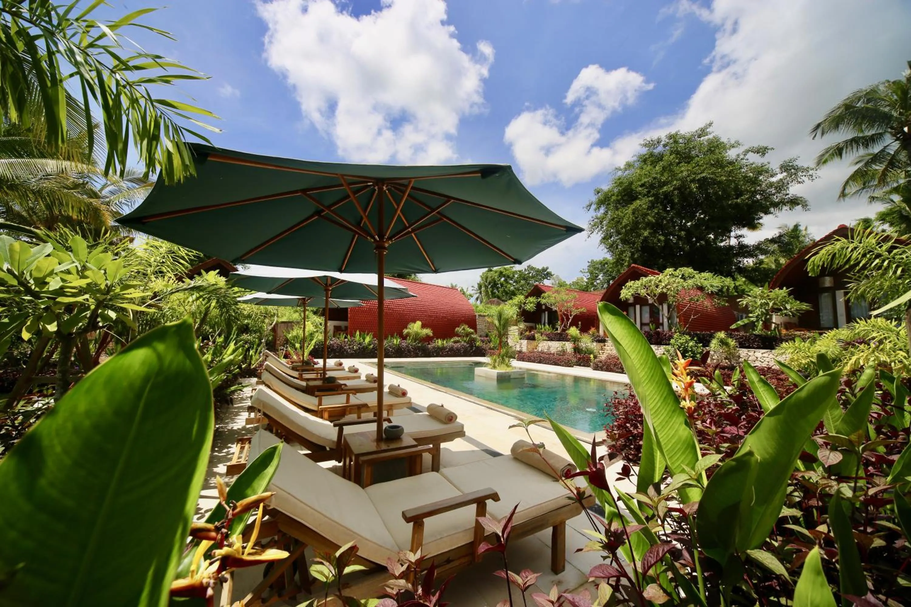 Garden in Jungle Paradise