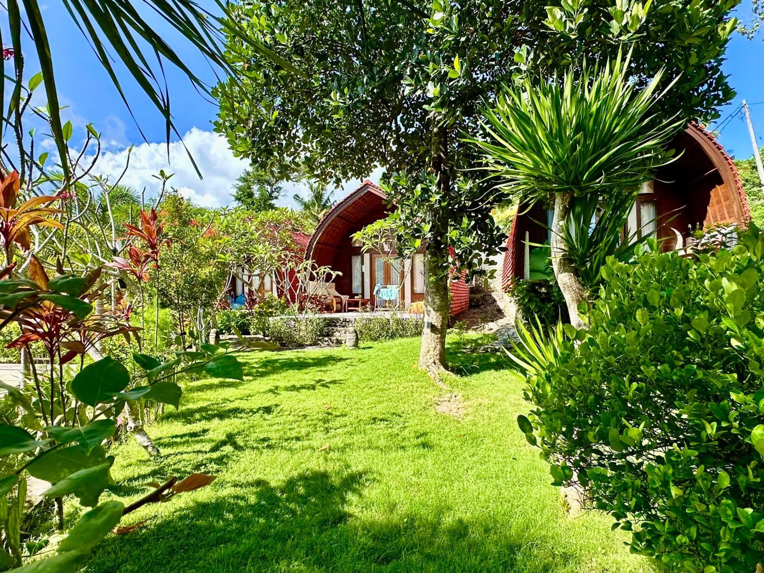 Property building in Jungle Paradise