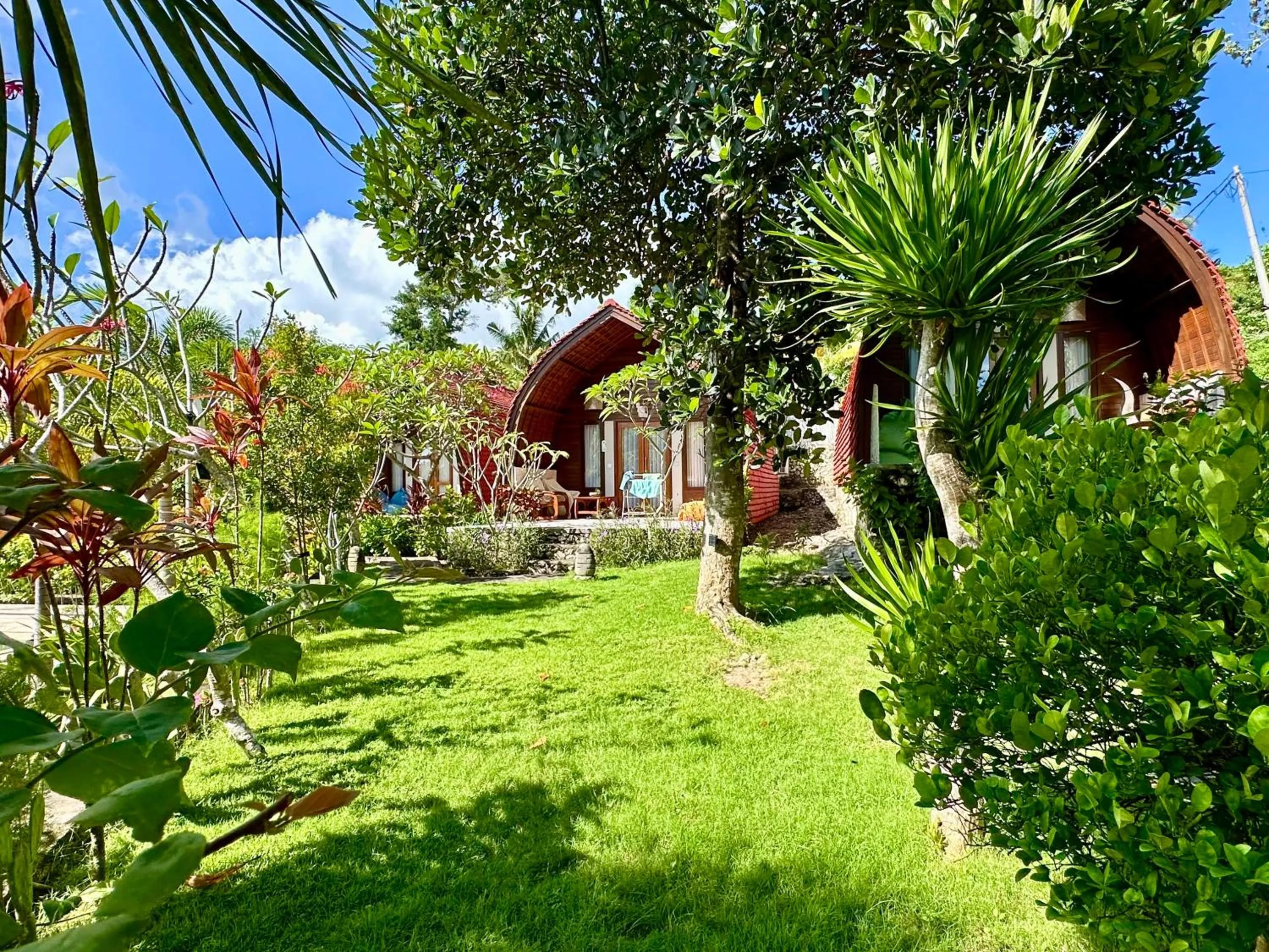 Property building in Jungle Paradise