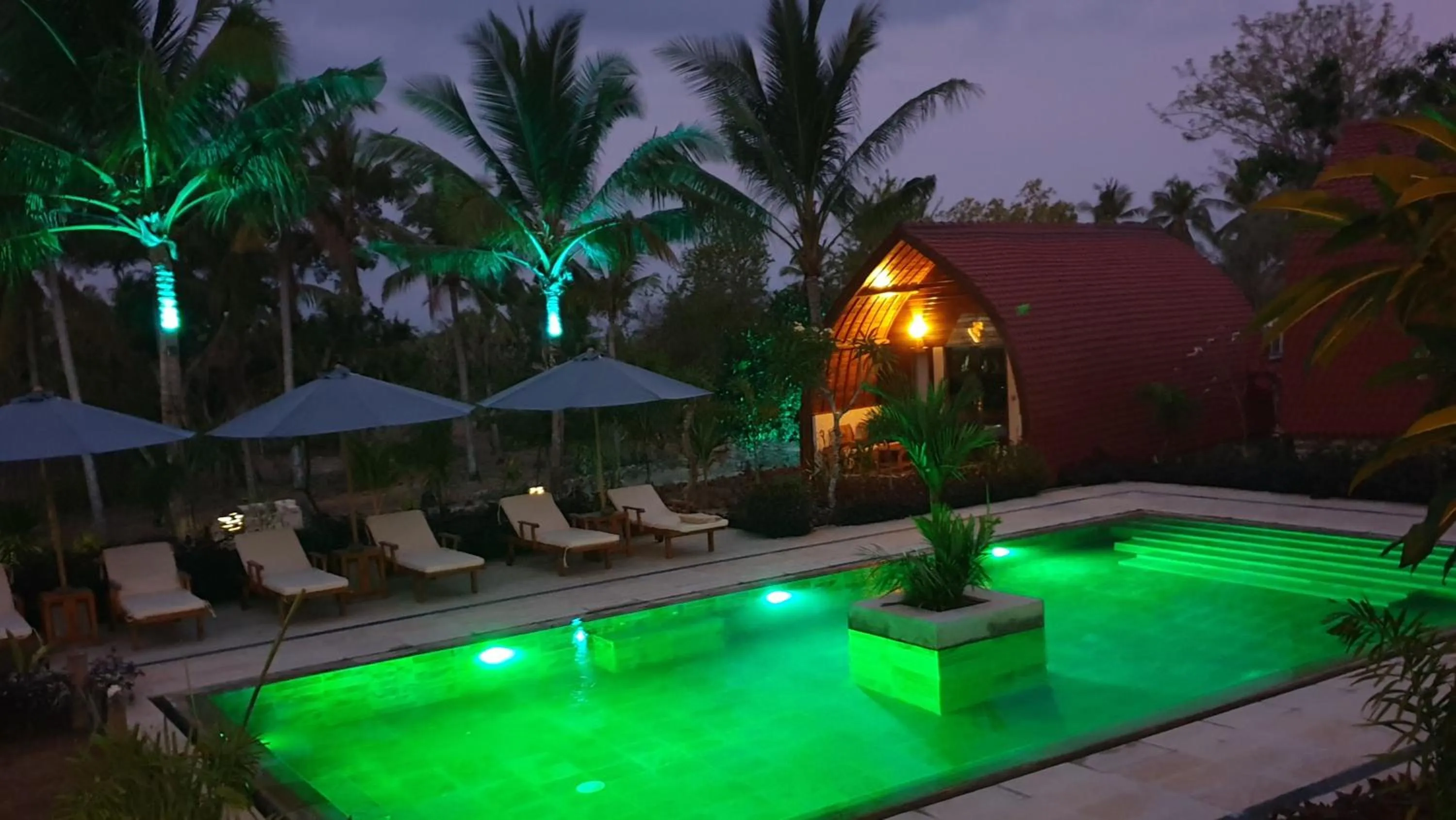 Pool view in Jungle Paradise