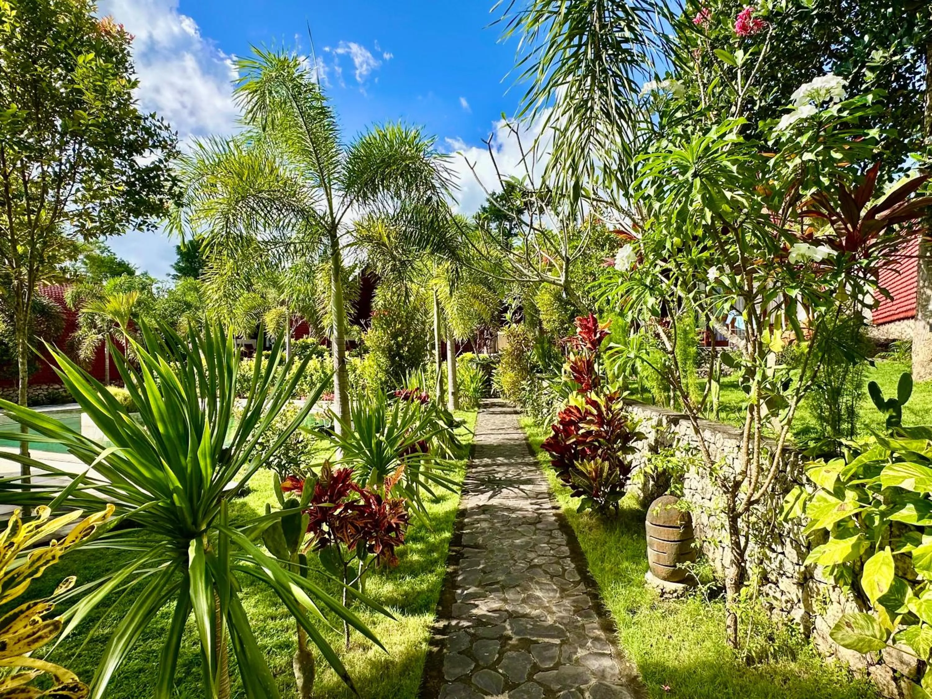Garden in Jungle Paradise