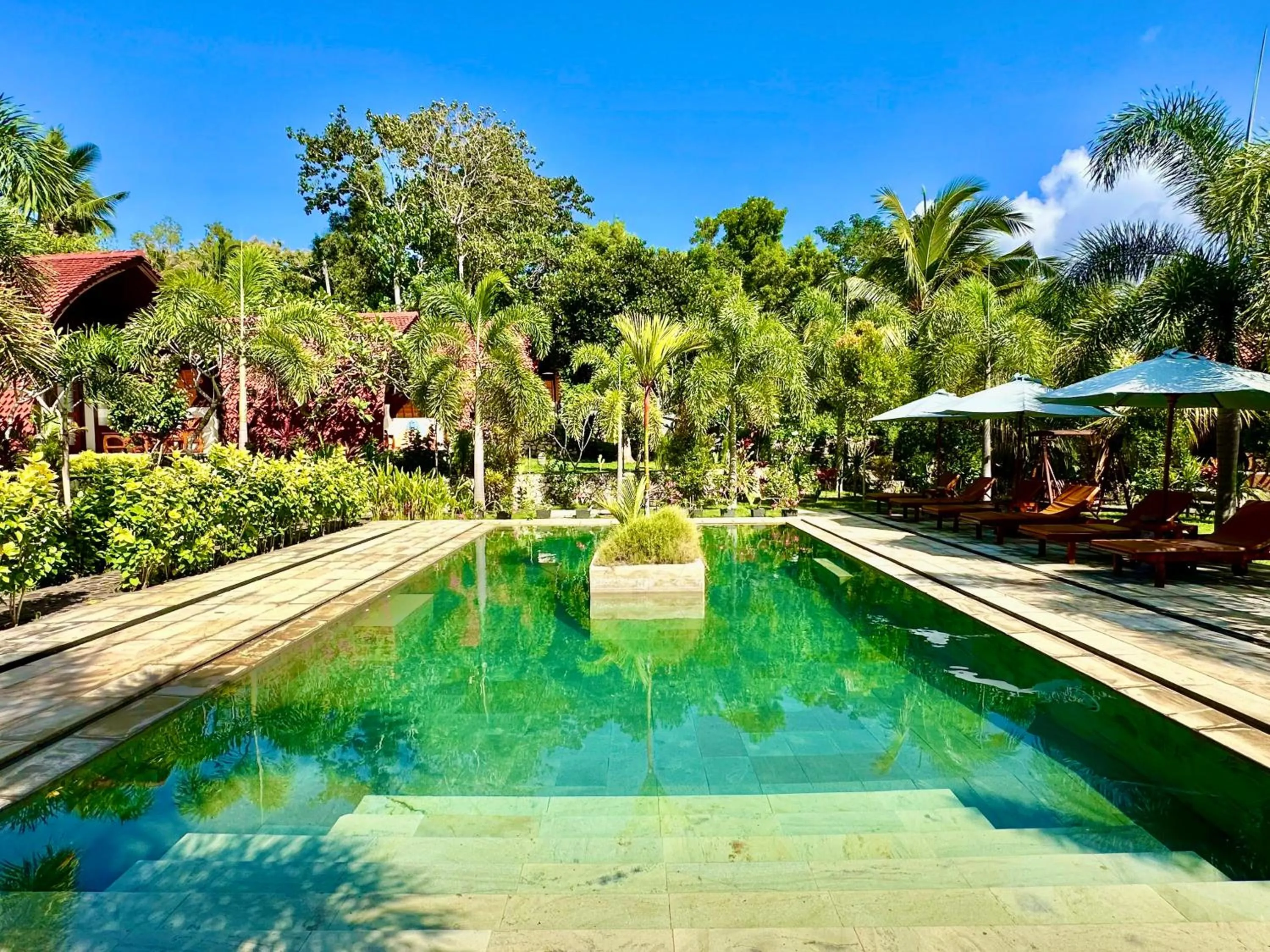 Swimming pool in Jungle Paradise