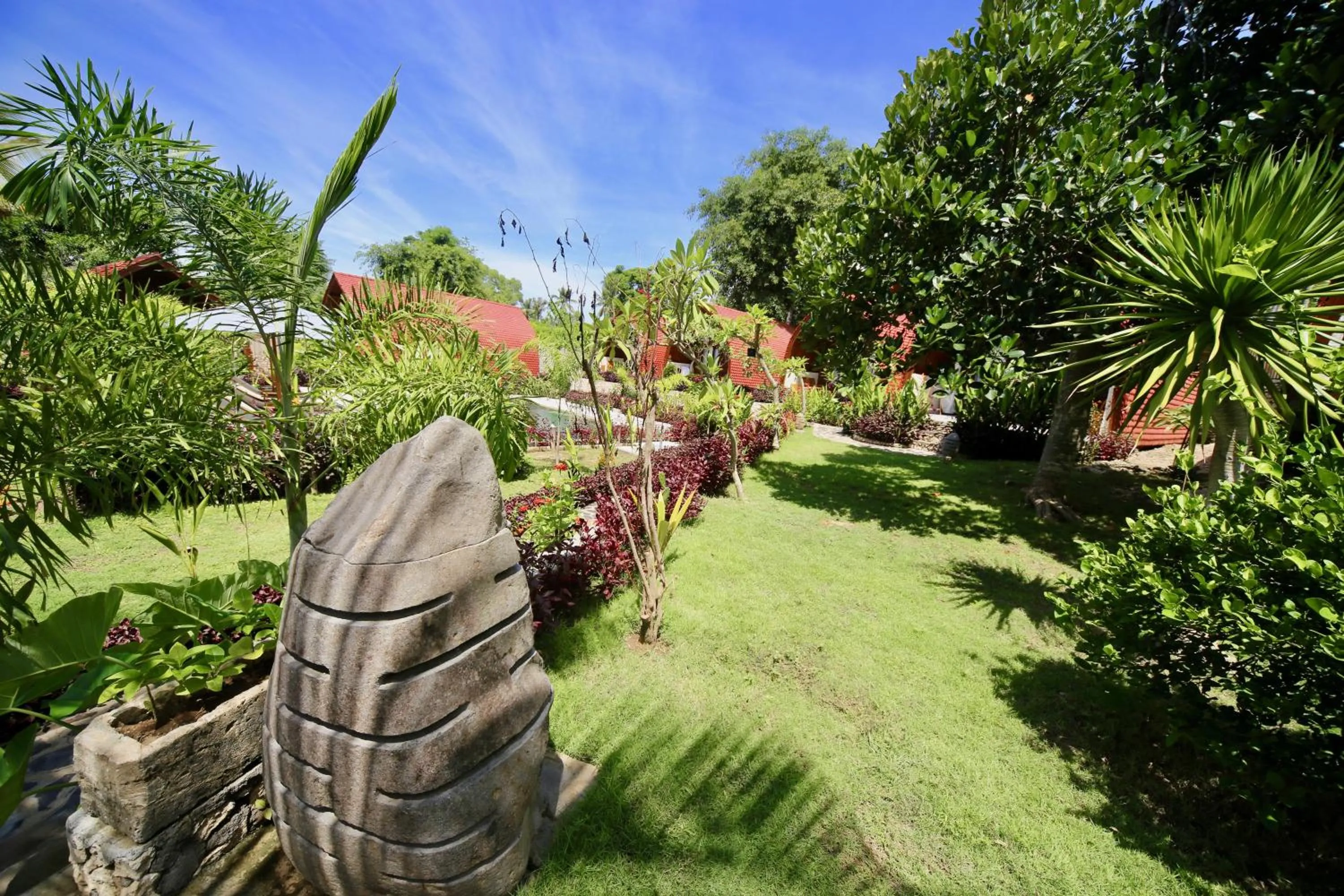 Garden in Jungle Paradise