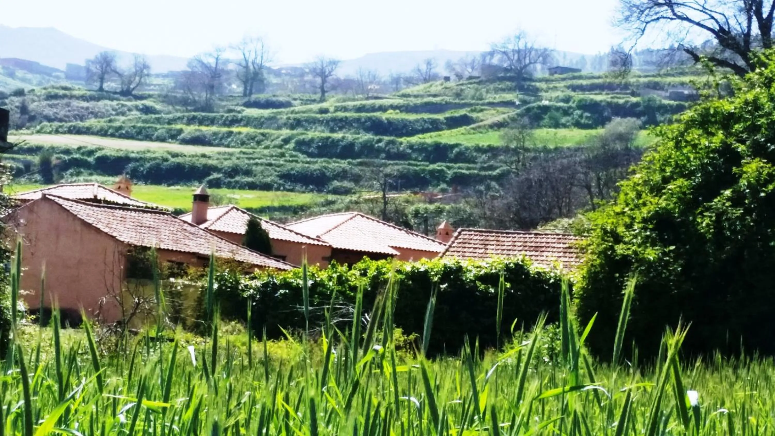 Rural Las Llanadas
