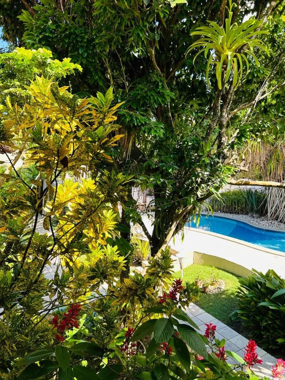 Pool view in Pousada Coisa e Tao