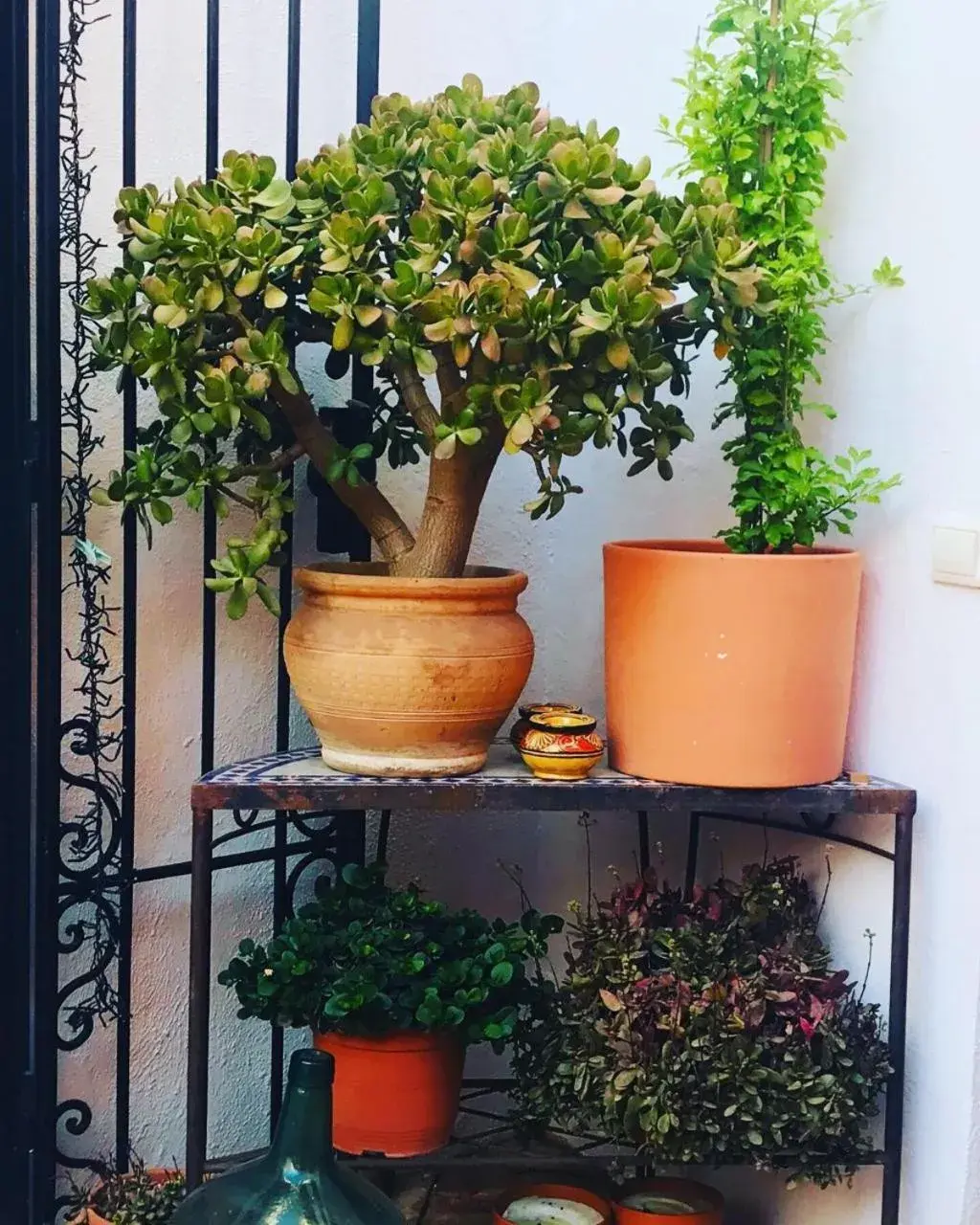 Garden view in Casa Aire de Lecrin Garden view in Casa Aire de Lecrin