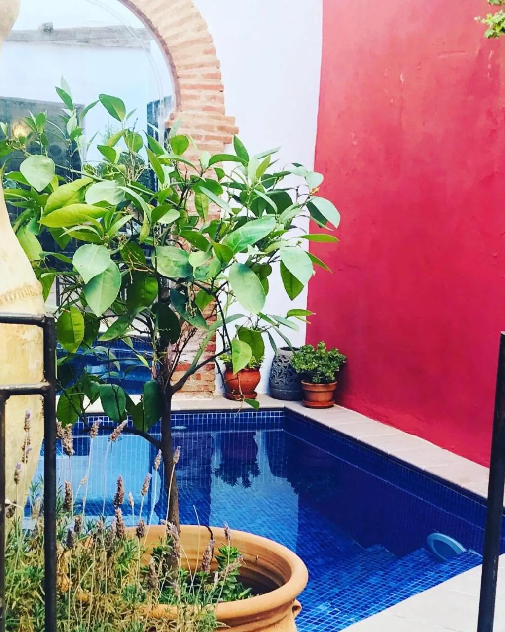 Pool view in Casa Aire de Lecrin