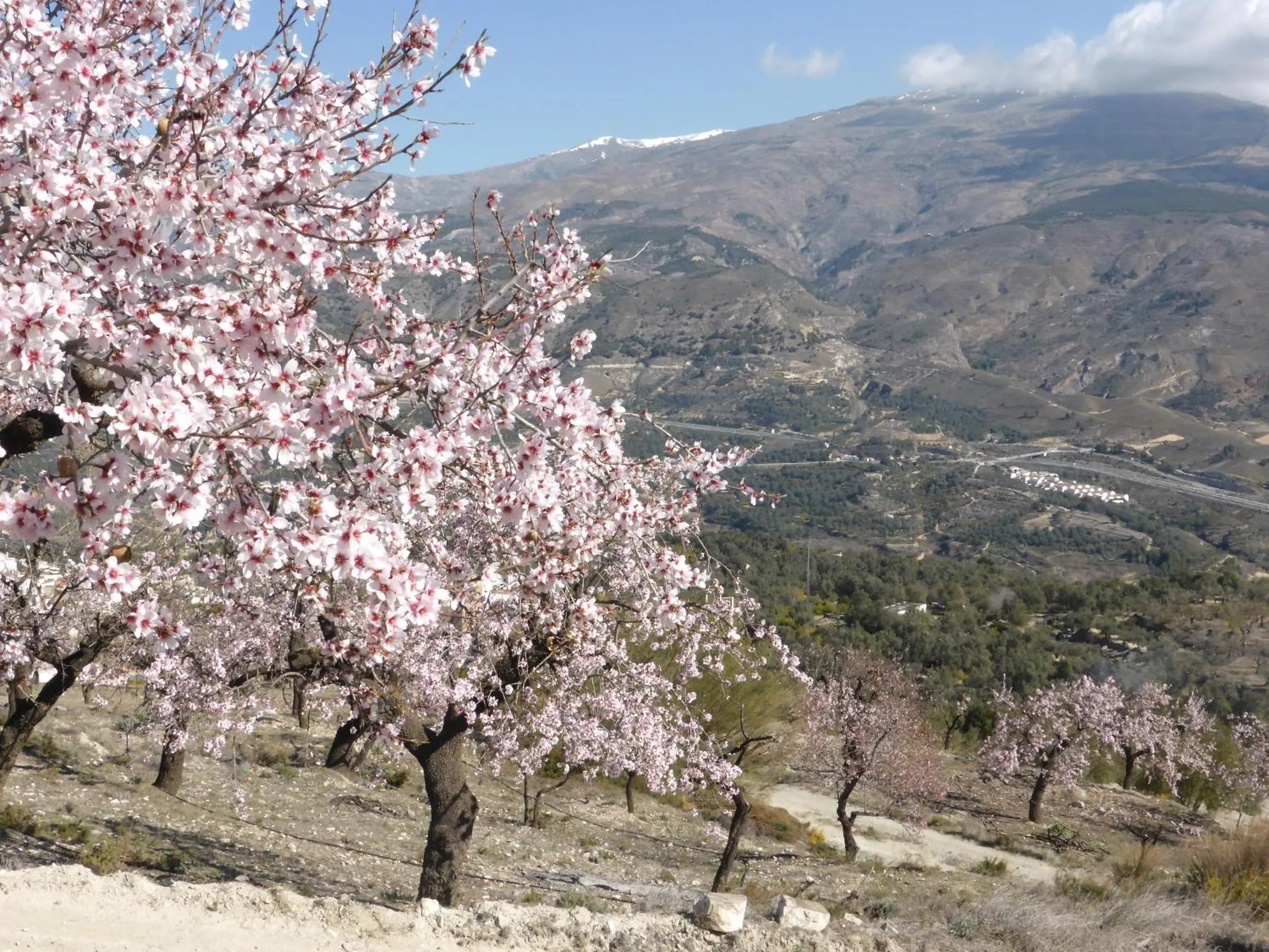 Natural landscape in Casa Aire de Lecrin