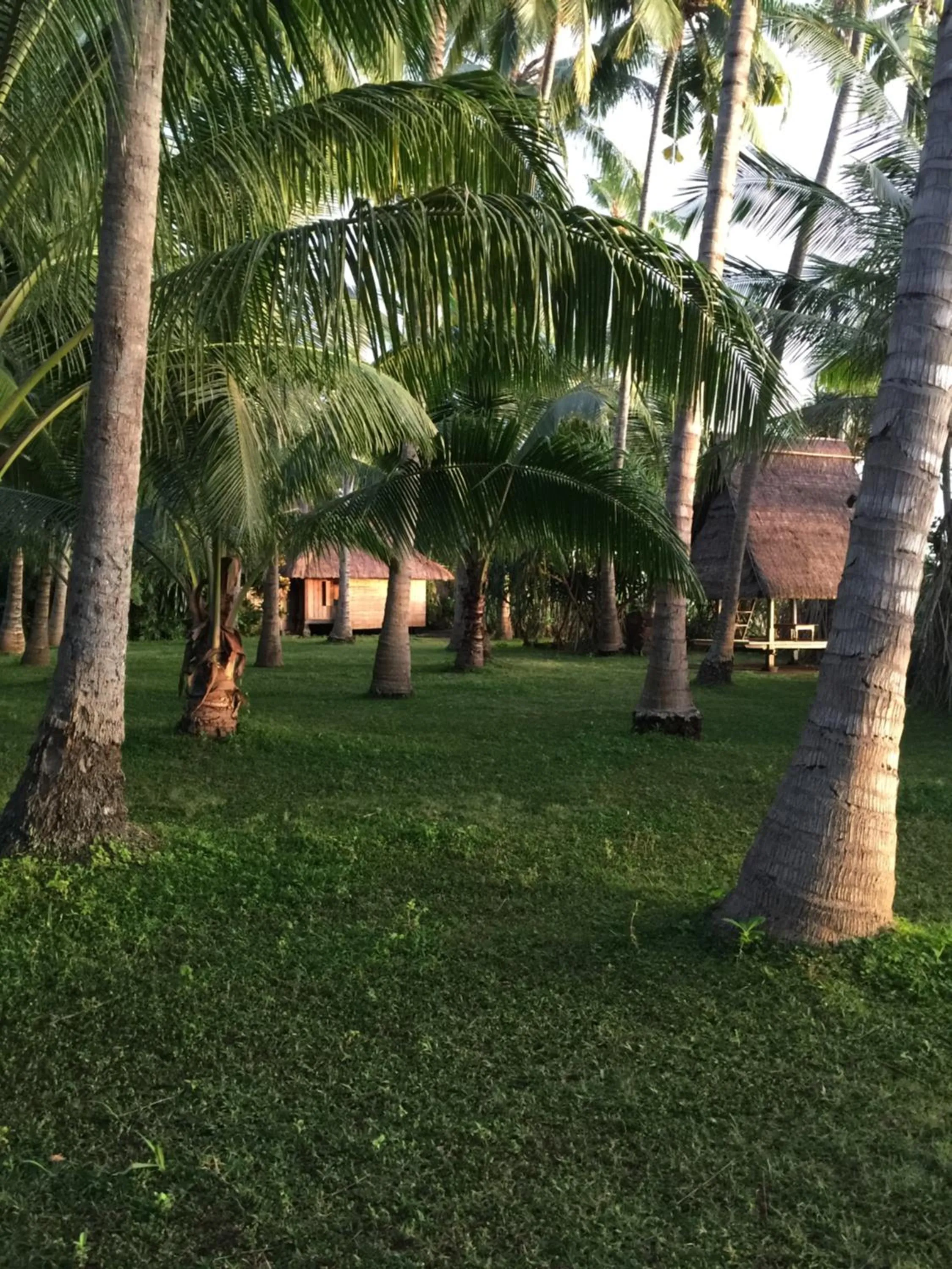 Garden in IDA'S Homestay