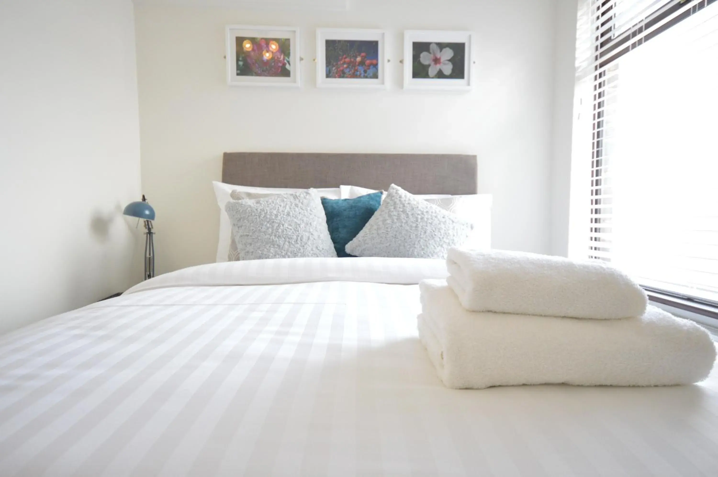 Lexicon House - 4 bedrooms 3 bathrooms Lexicon House - 4 bedrooms 3 bathrooms