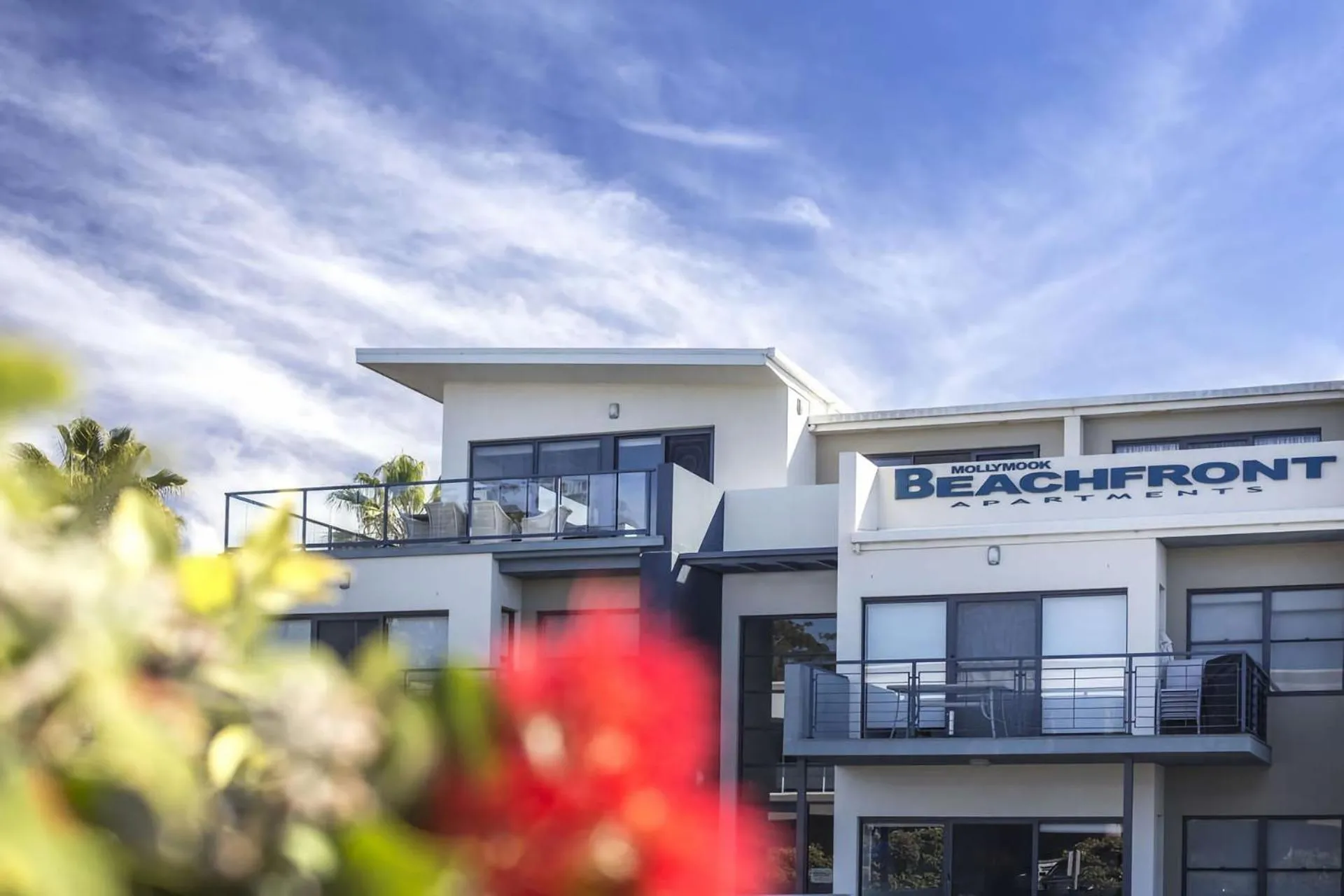 Property building in Mollymook Luxury Beachfront Apartment 10