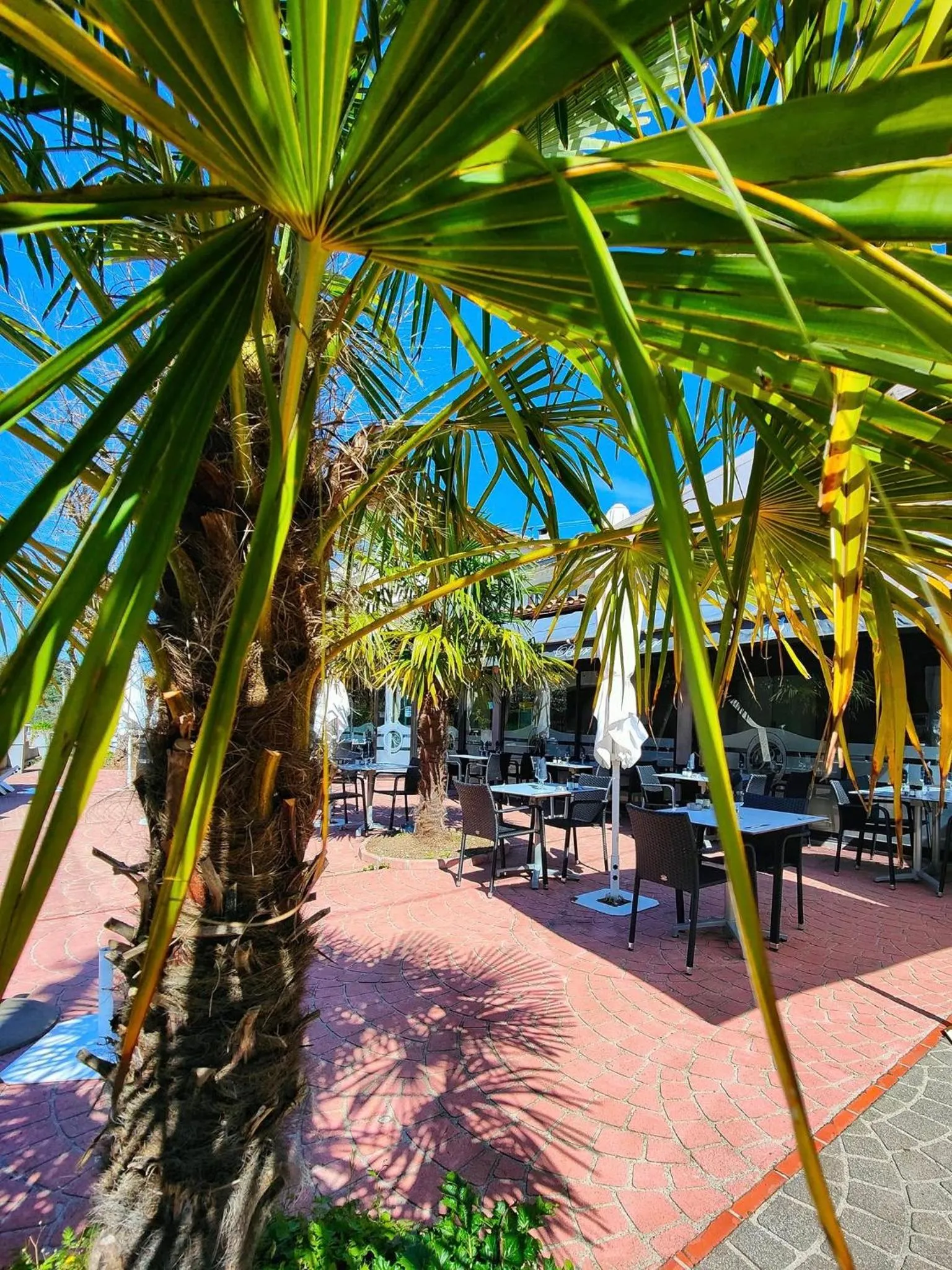 Restaurant/places to eat in Hôtel La Renaissance