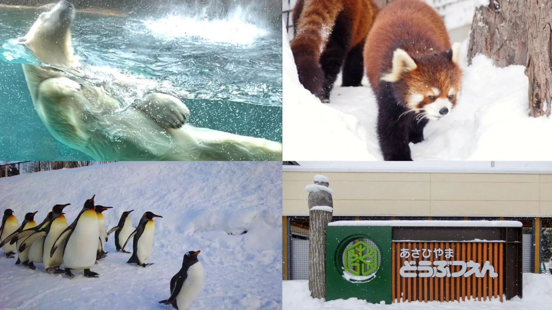 Nearby landmark in The Peak Villa Suite Hokkaido