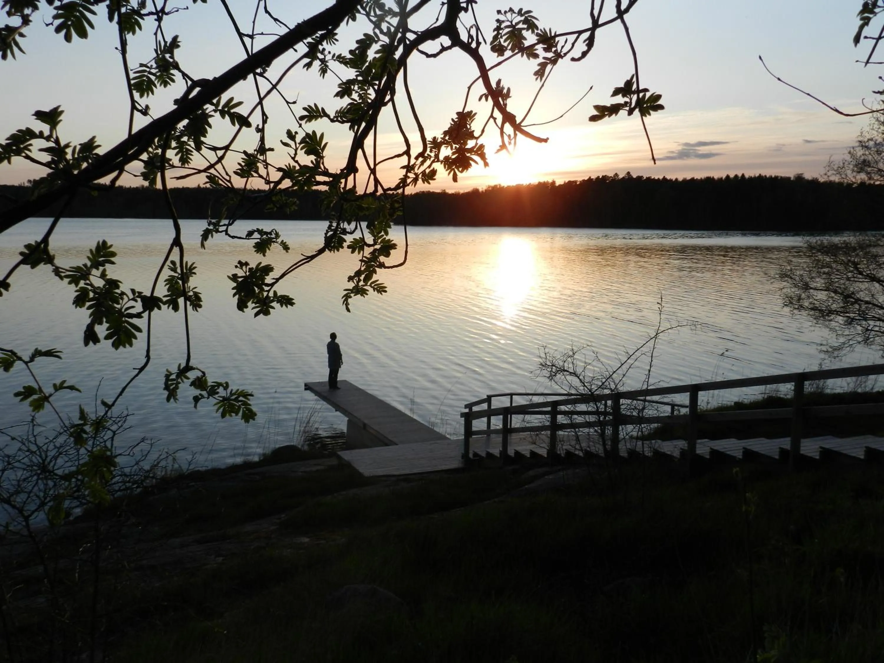 Natural landscape in Labbnäs Semesterhem, Radhuset