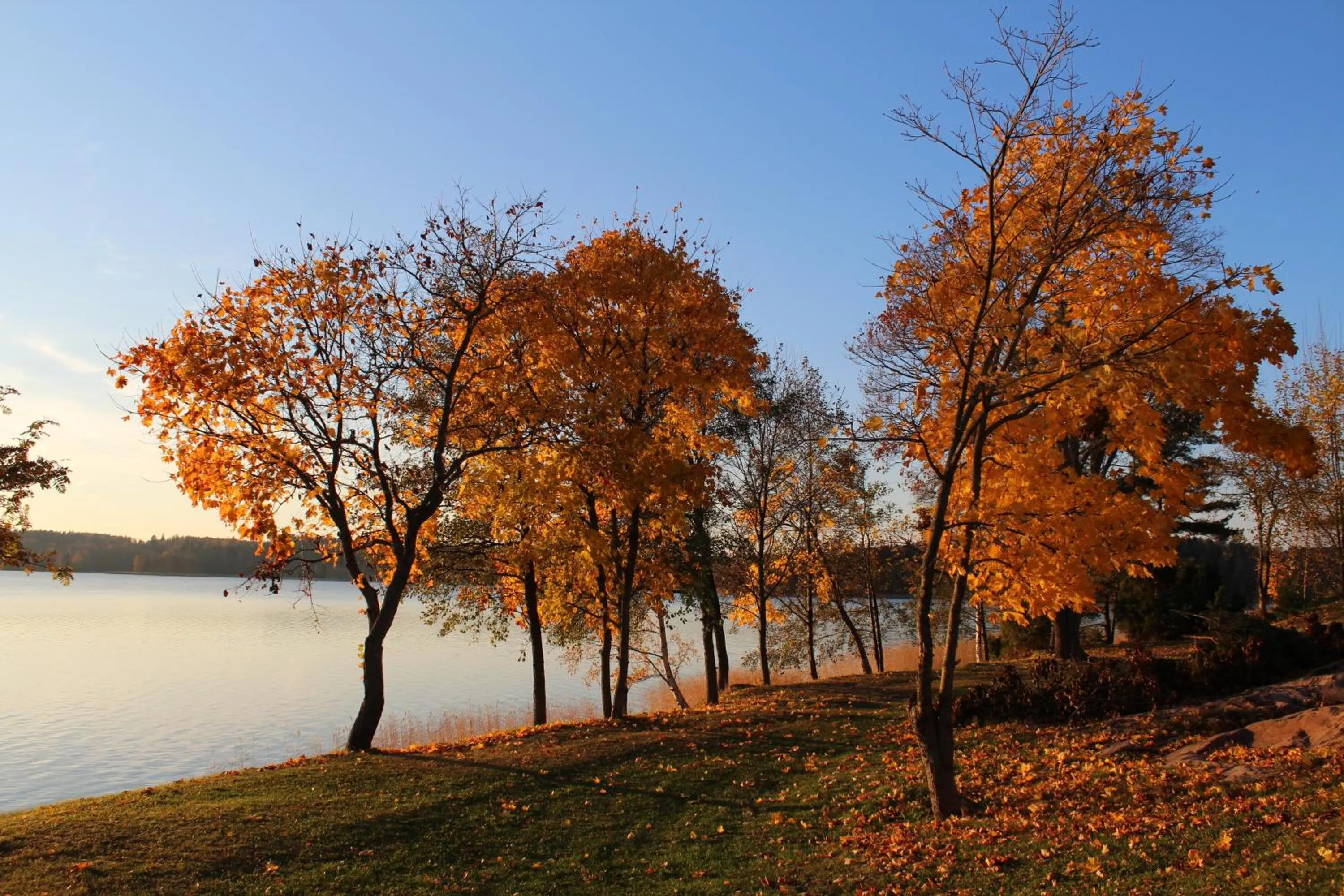 Natural landscape in Labbnäs Semesterhem, Radhuset