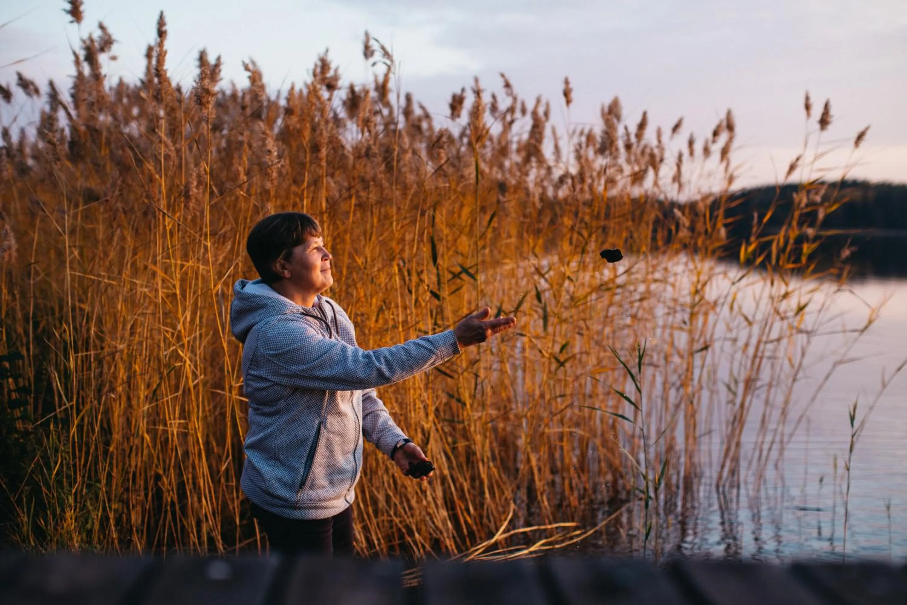 Natural landscape in Labbnäs Semesterhem, Radhuset