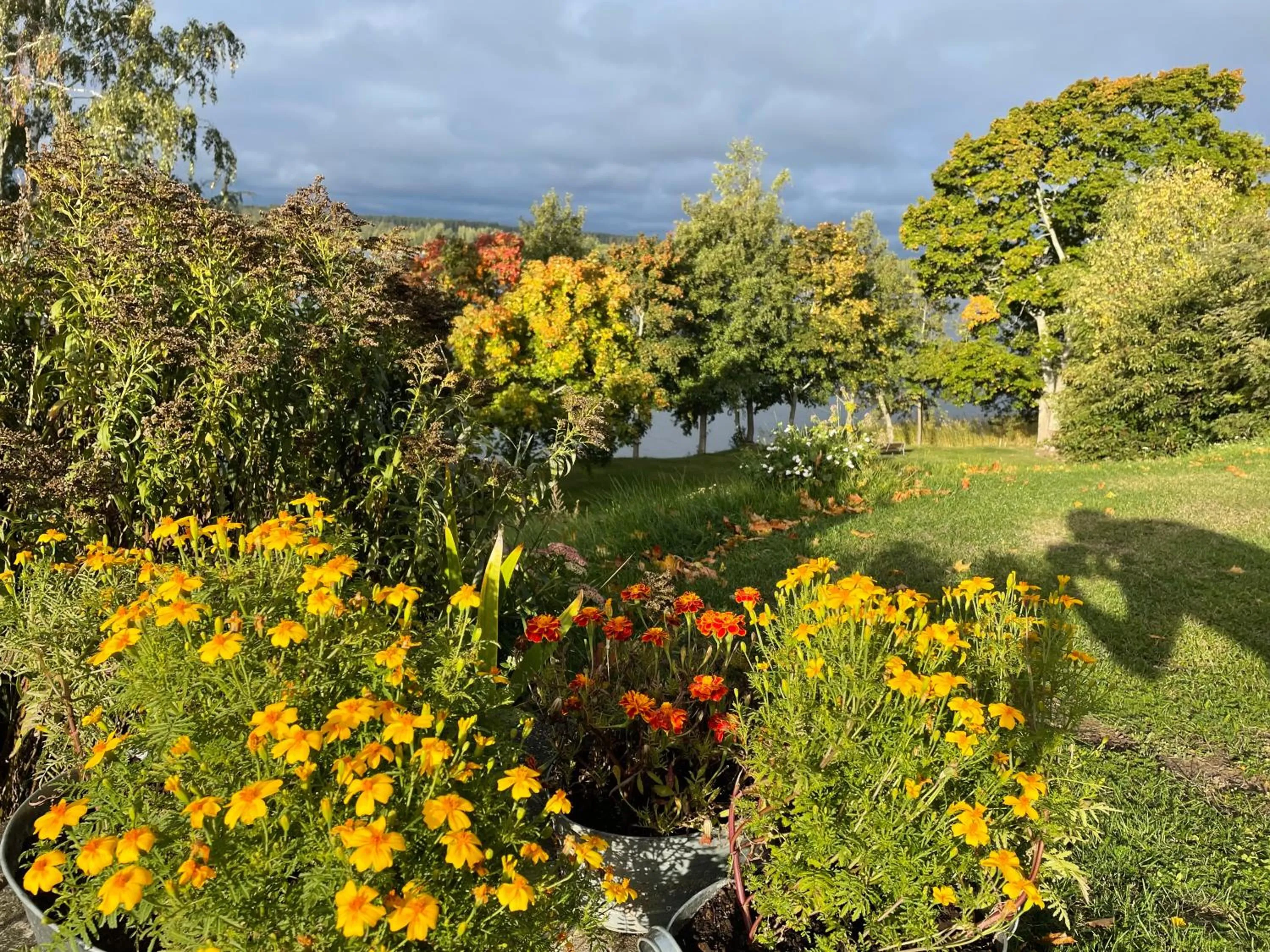 Labbnäs Semesterhem, Radhuset