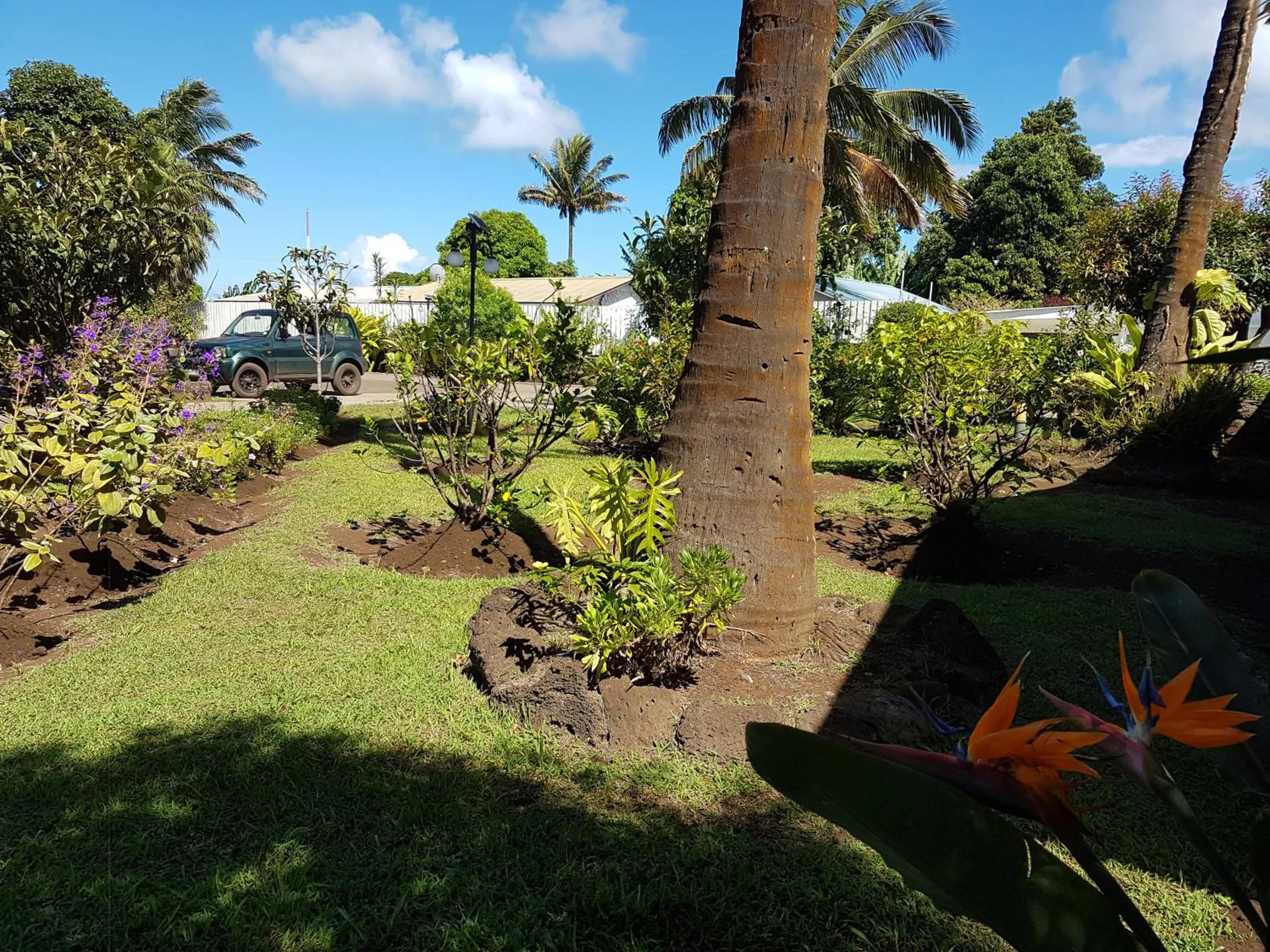 Garden in Hotel Manutara