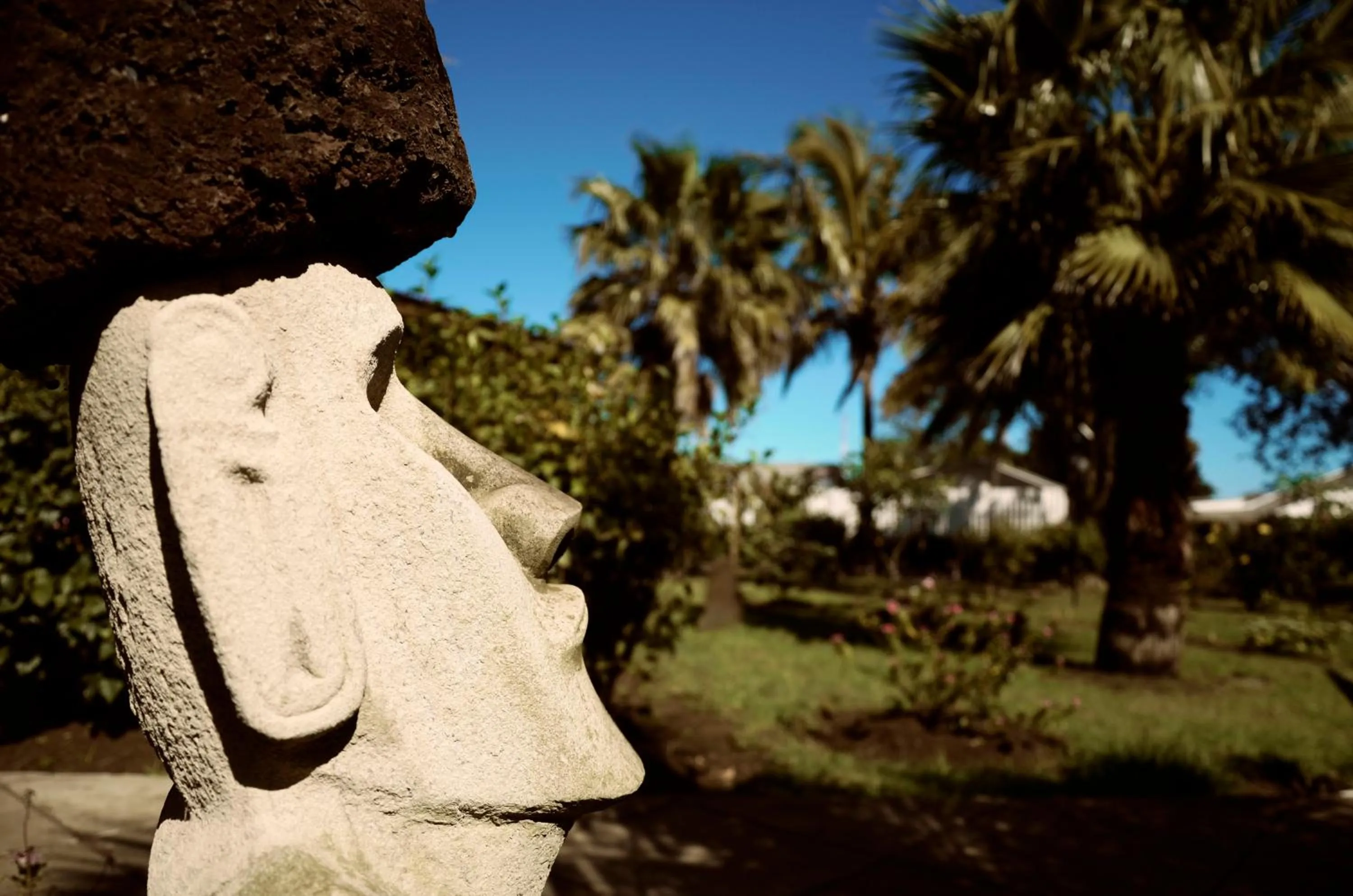 Day in Hotel Manutara